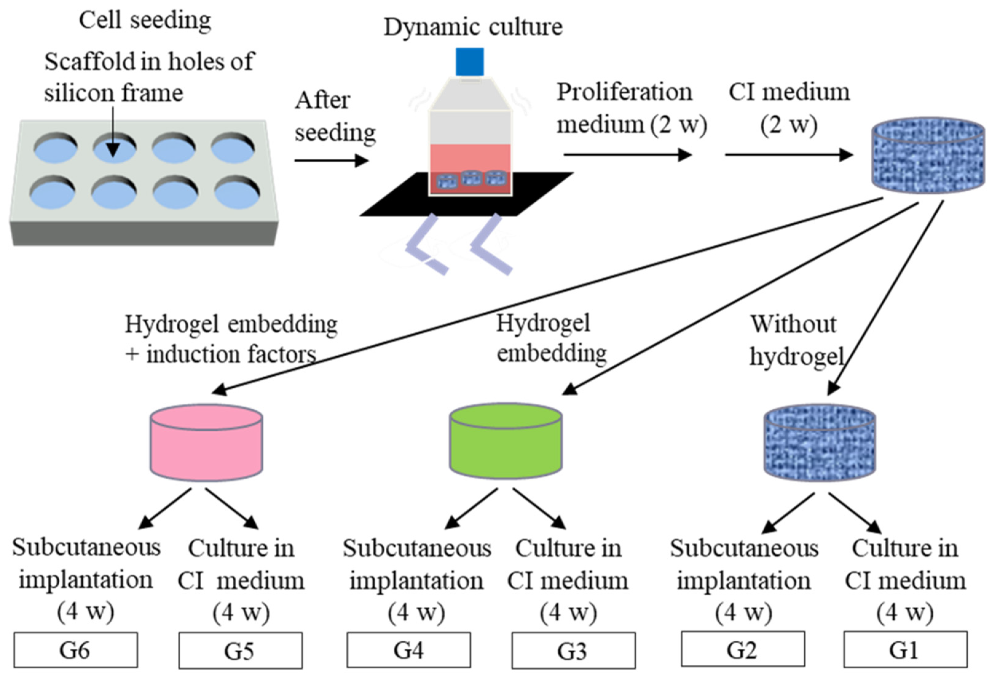 Ijms 23 06406 g003 550