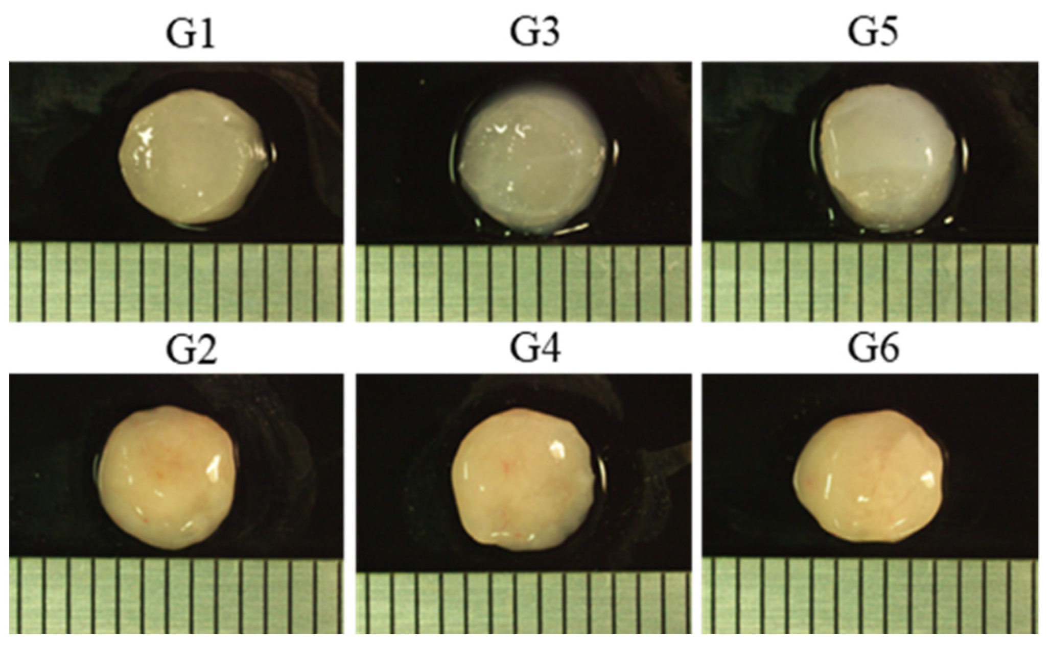 Ijms 23 06406 g004 550