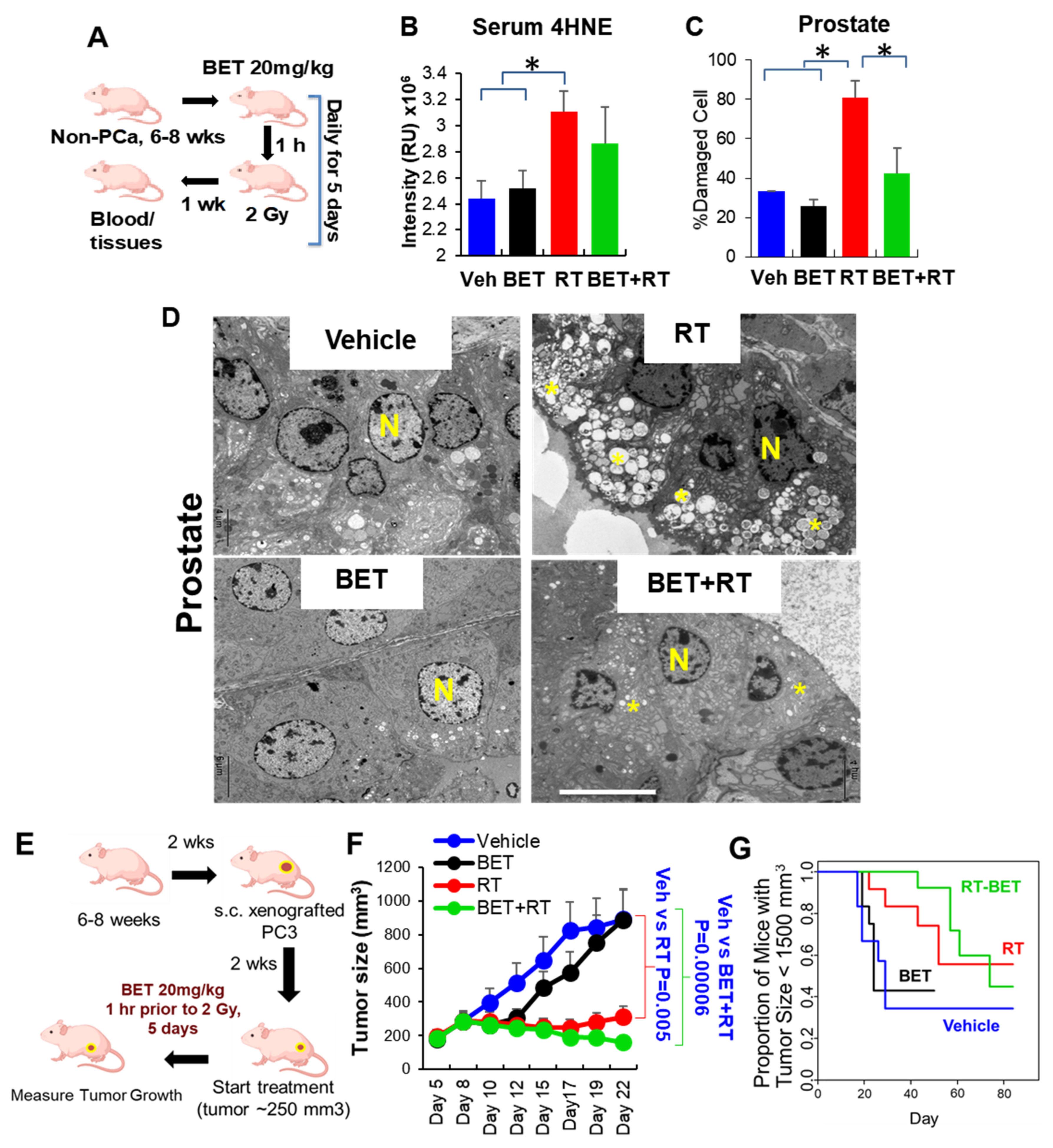 Ijms 23 06409 g003 550