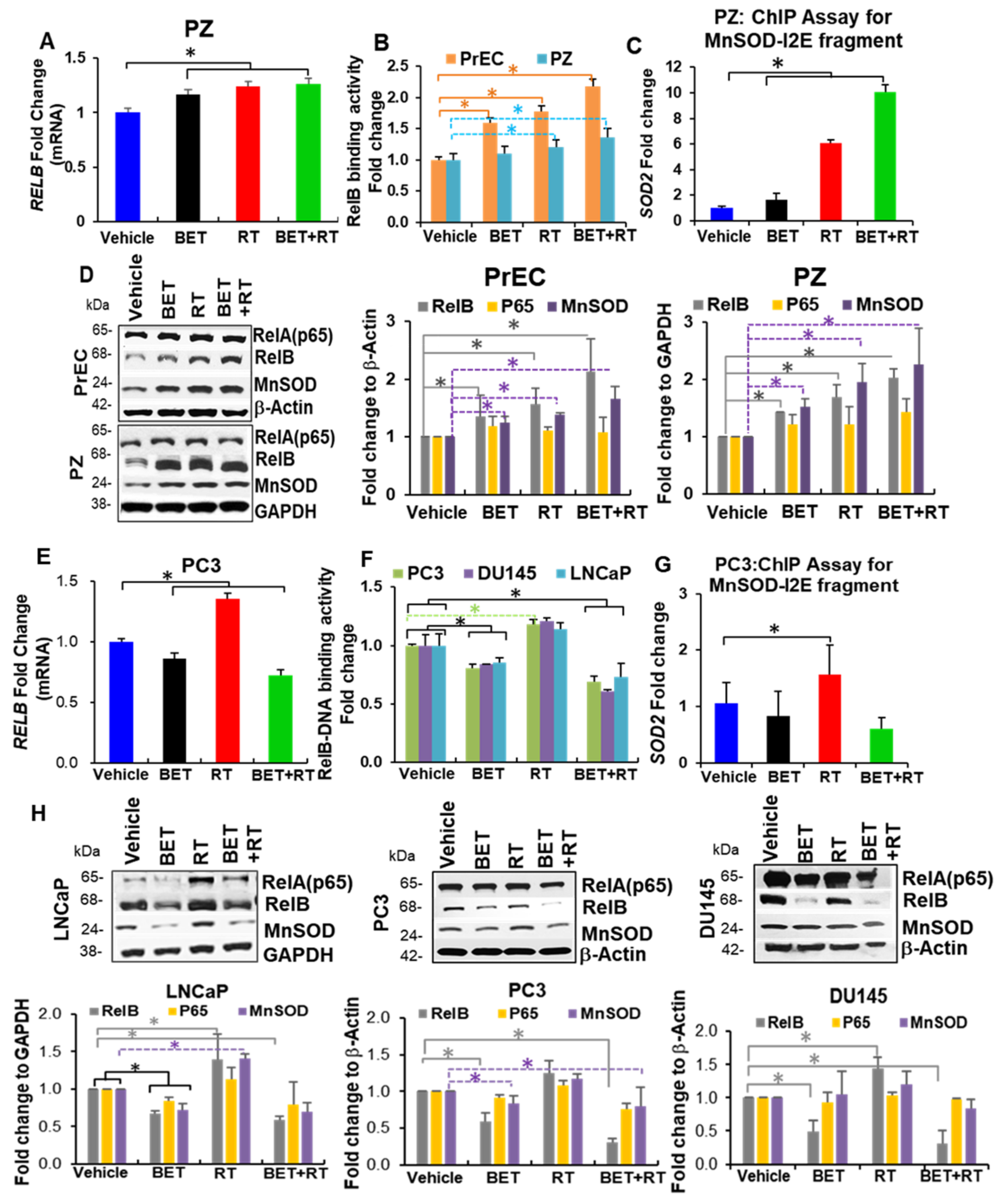 Ijms 23 06409 g004 550