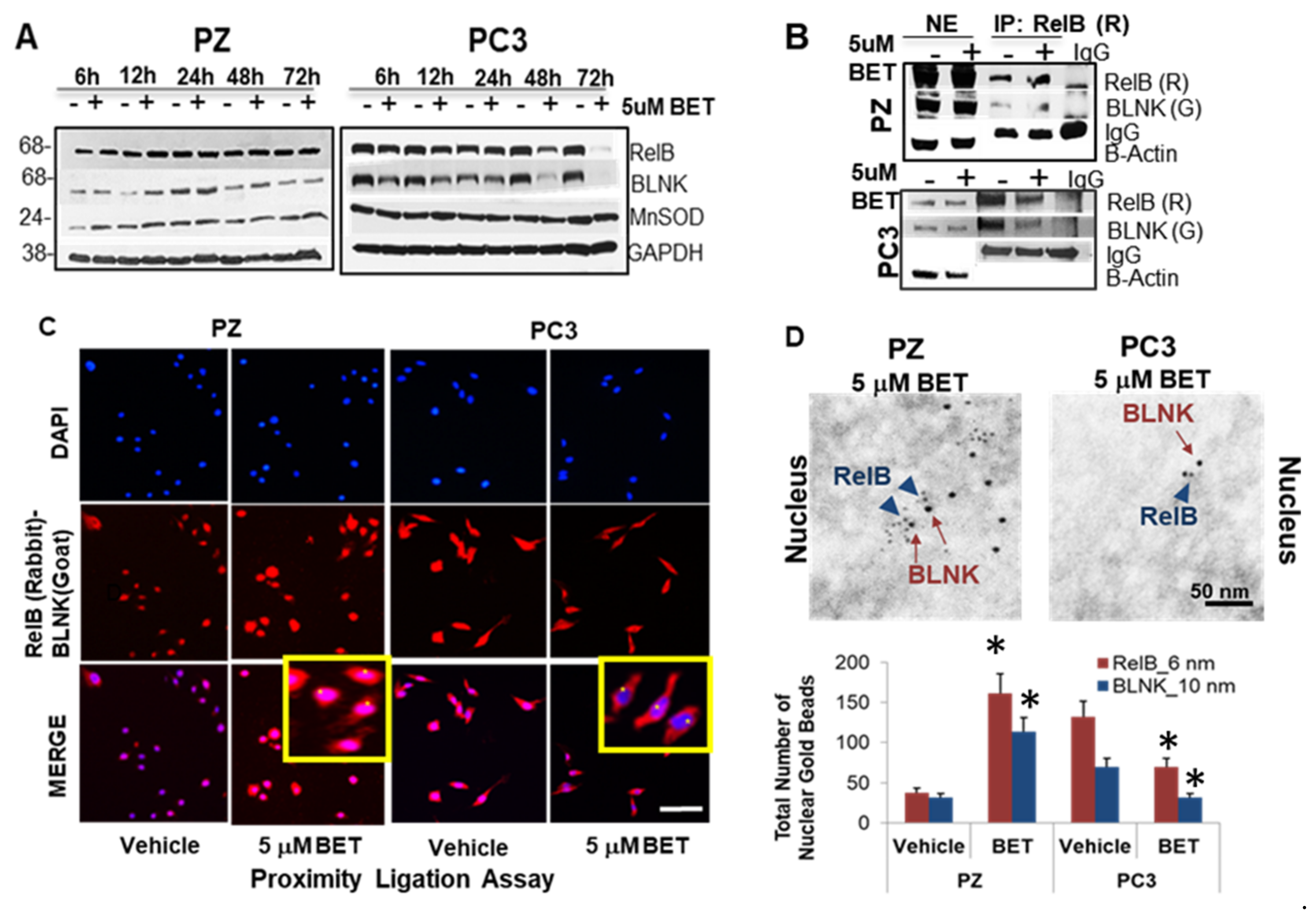 Ijms 23 06409 g006 550