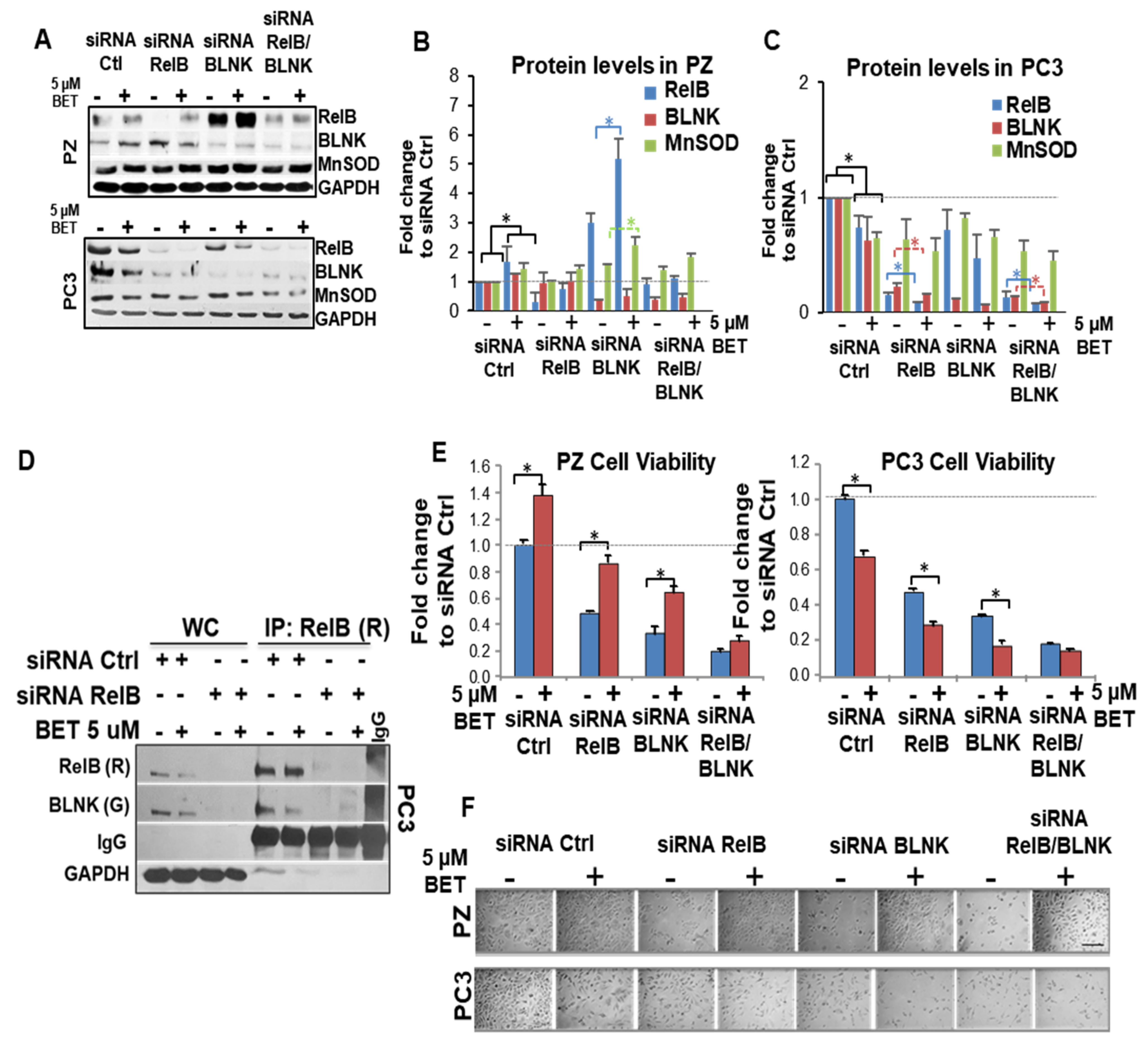 Ijms 23 06409 g007 550