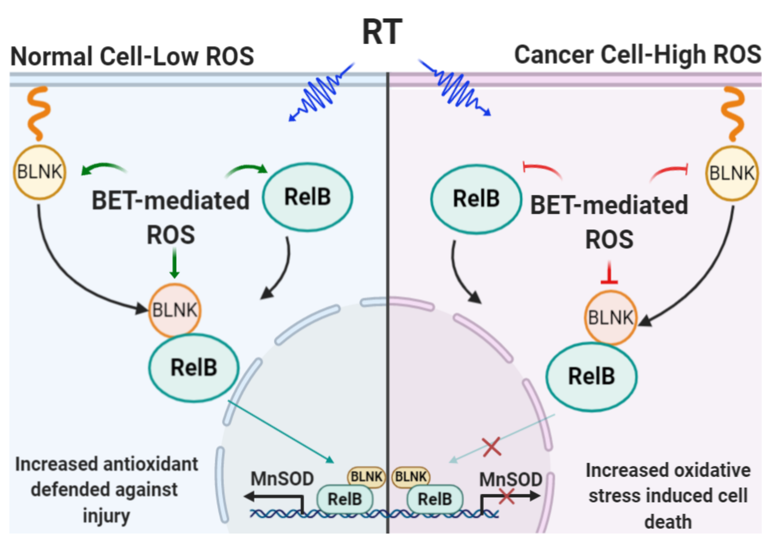 Ijms 23 06409 g008 550