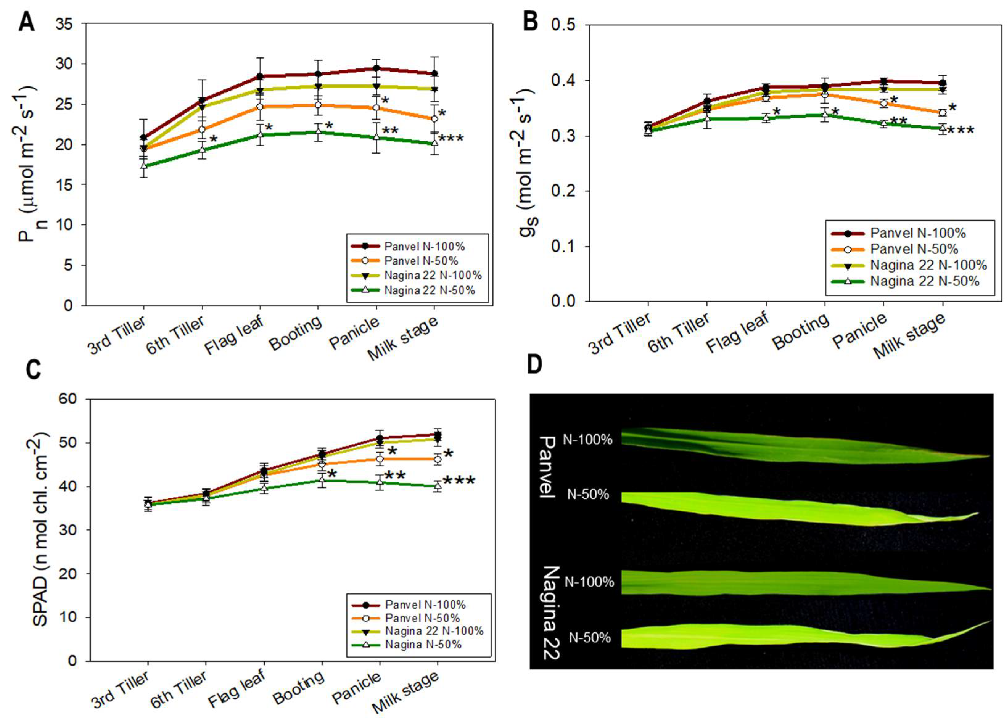 Ijms 23 06410 g002 Ijms 23 06410 g002