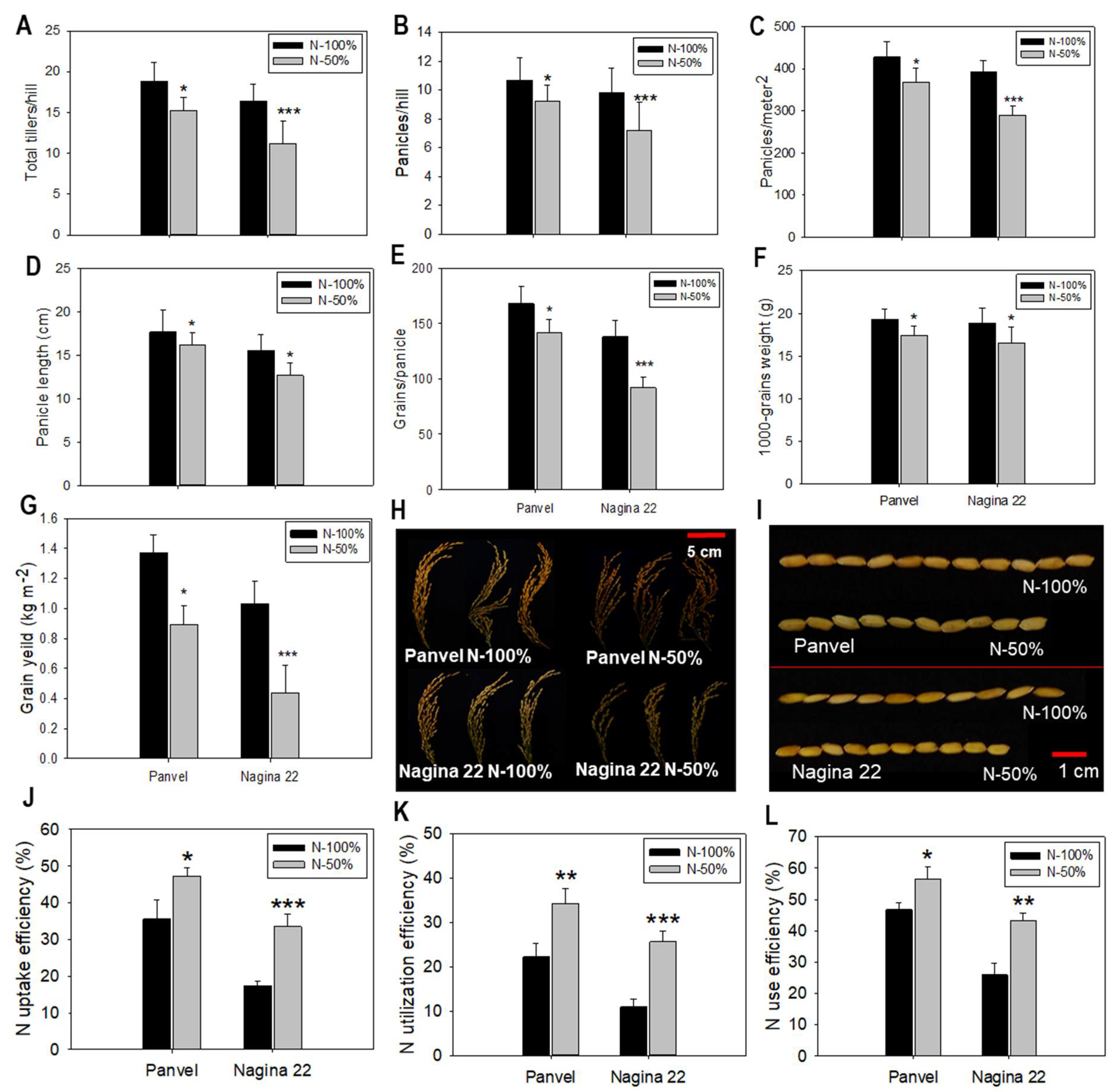 Ijms 23 06410 g004 Ijms 23 06410 g004