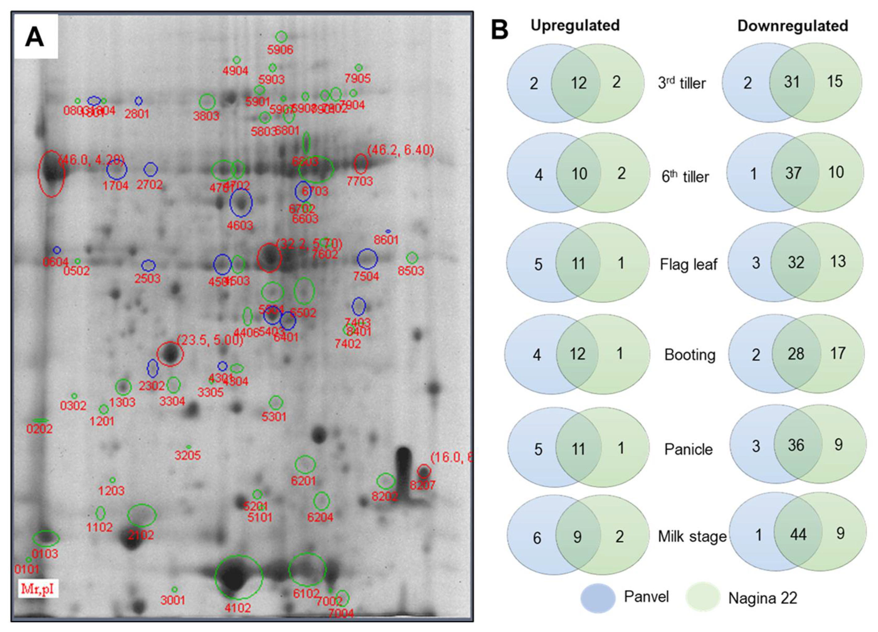 Ijms 23 06410 g005 Ijms 23 06410 g005
