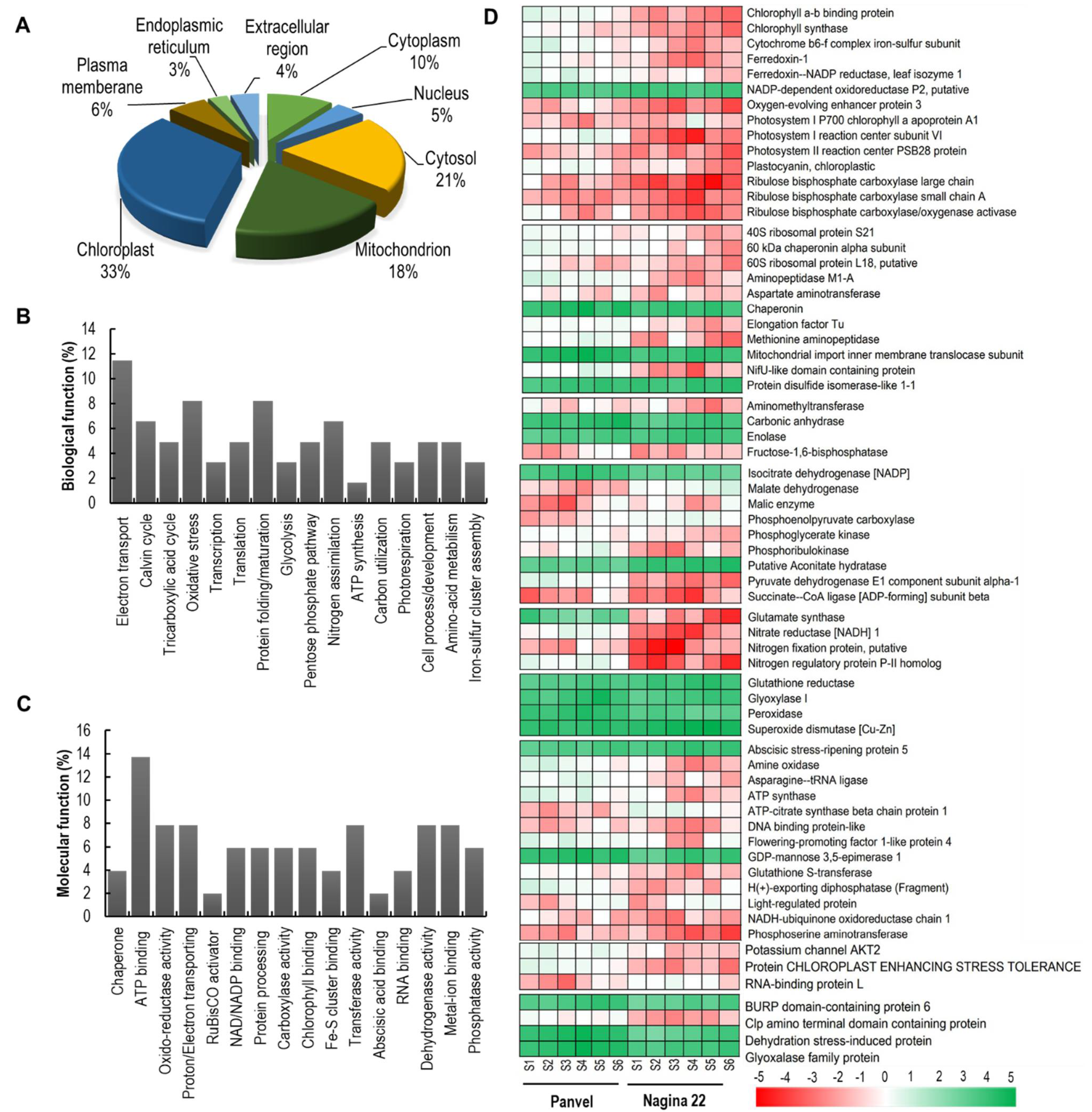 Ijms 23 06410 g006 Ijms 23 06410 g006