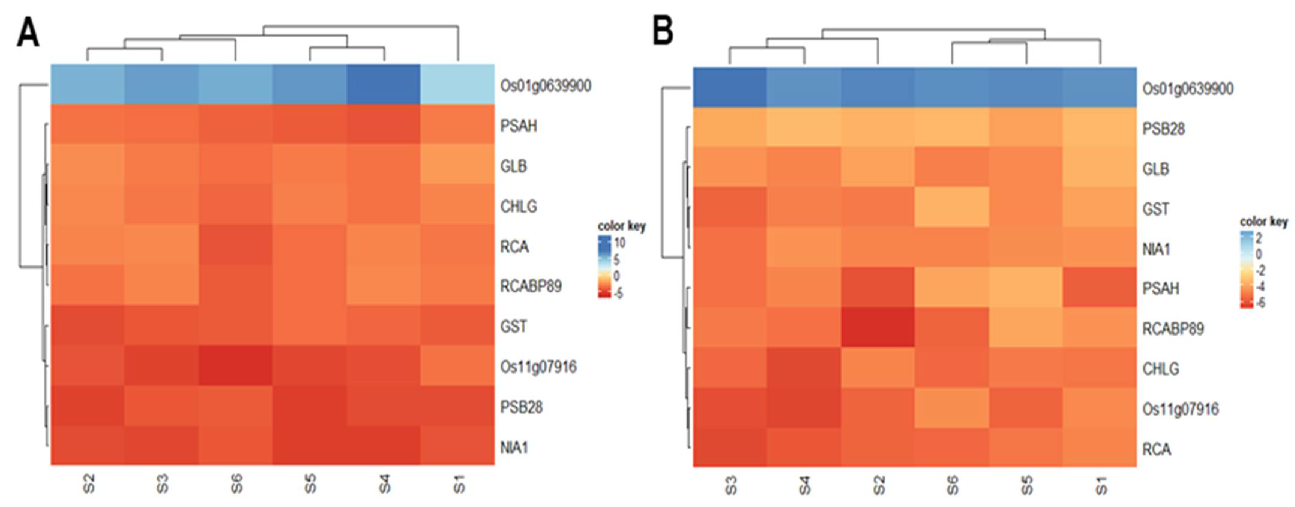 Ijms 23 06410 g007 Ijms 23 06410 g007
