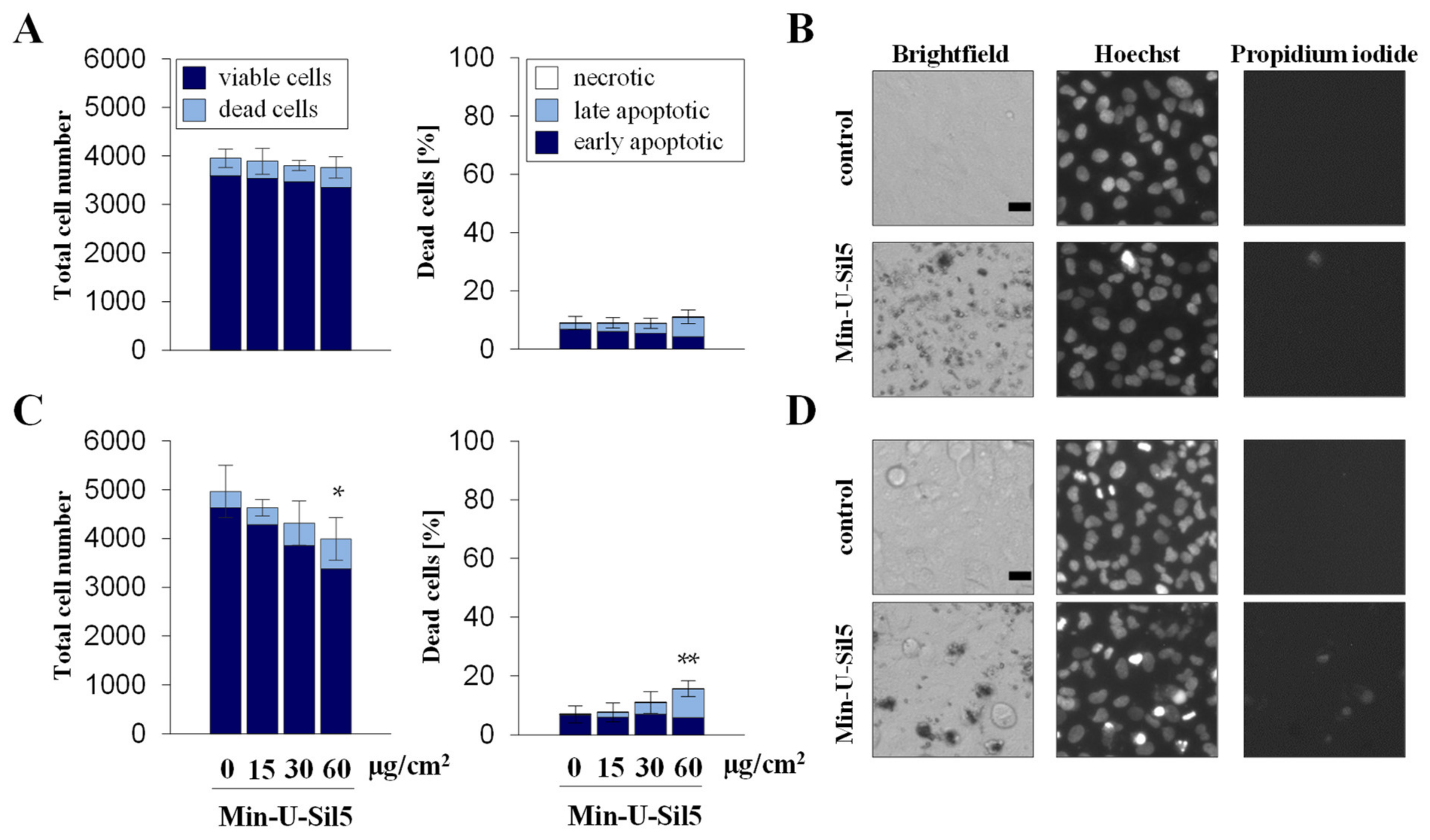 Ijms 23 06412 g002 550