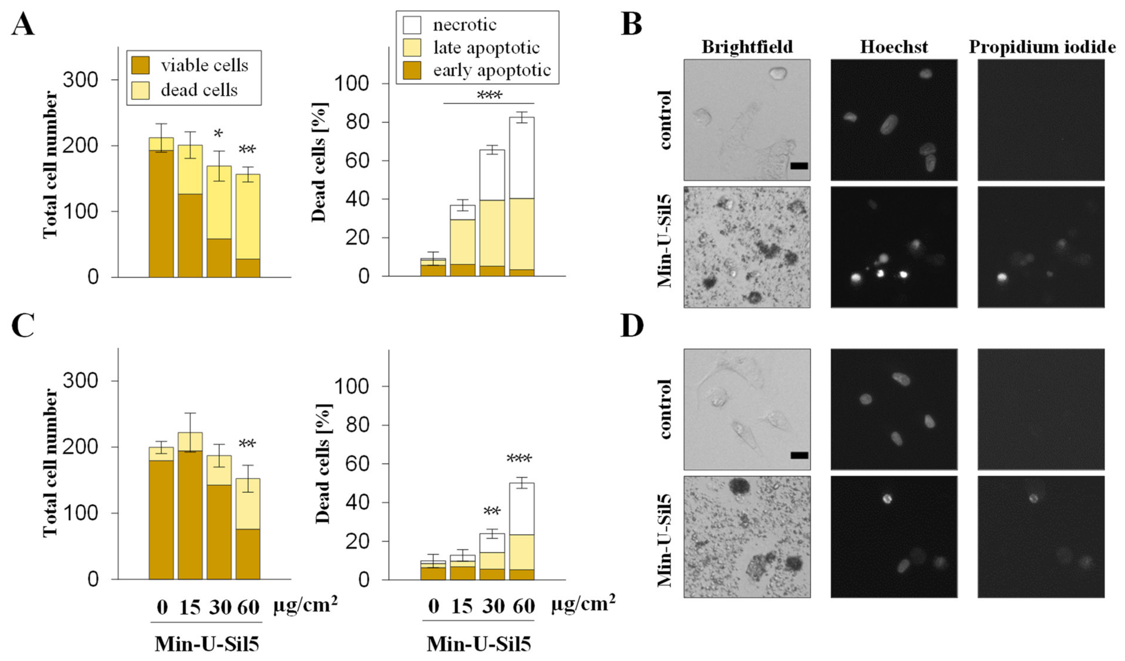 Ijms 23 06412 g003 550