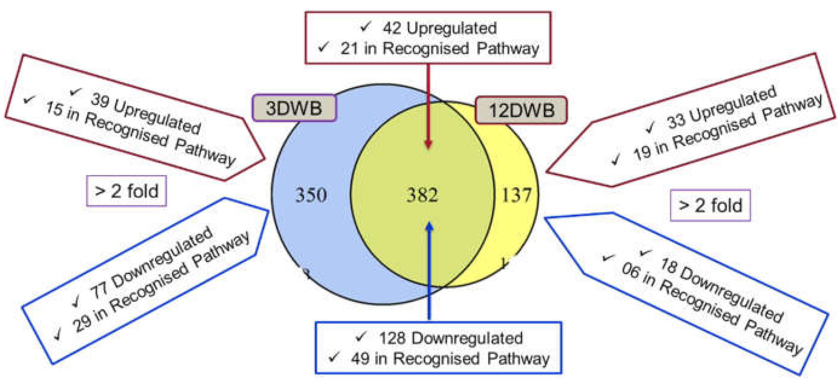 Ijms 23 06415 g001 Ijms 23 06415 g001