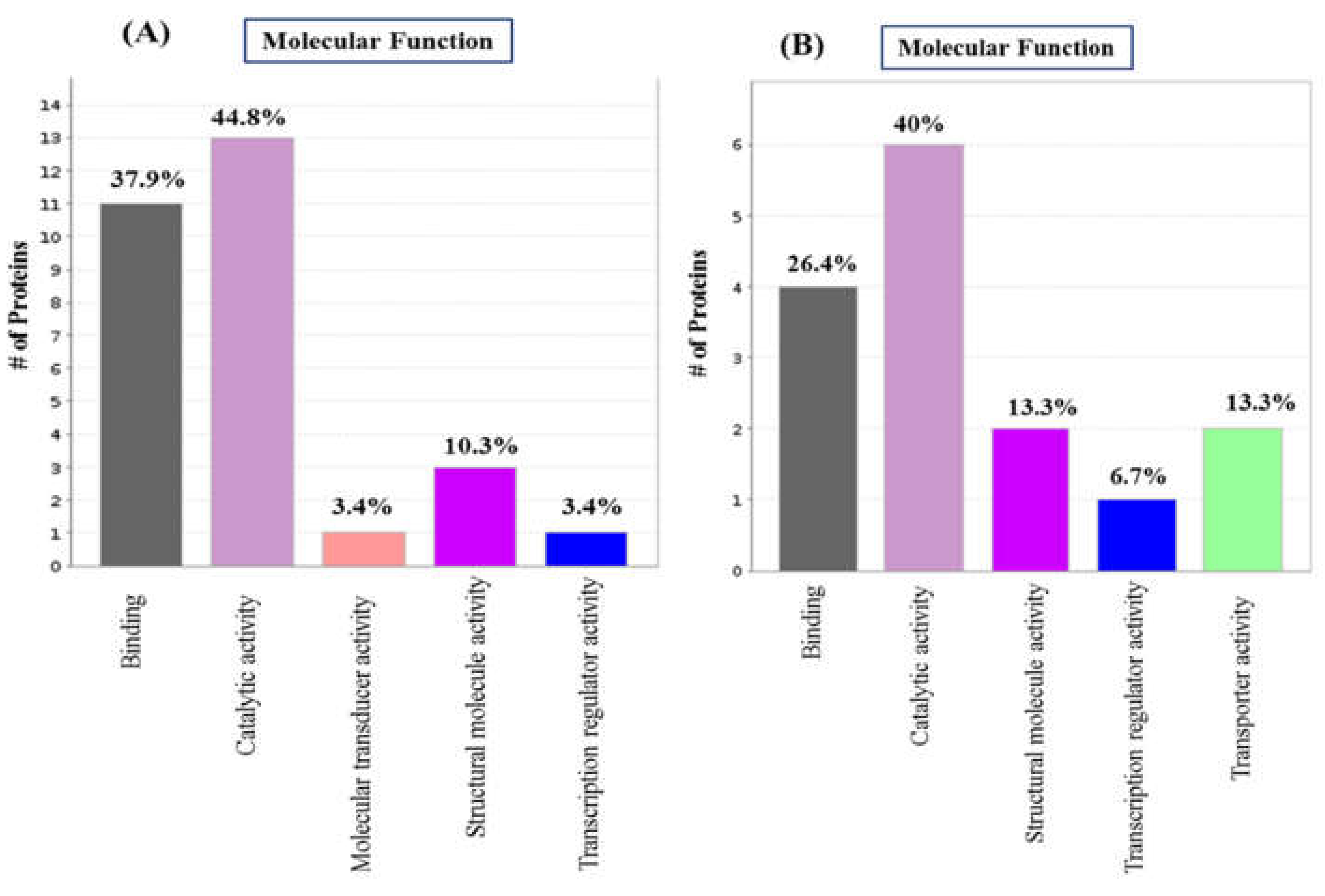 Ijms 23 06415 g002 Ijms 23 06415 g002