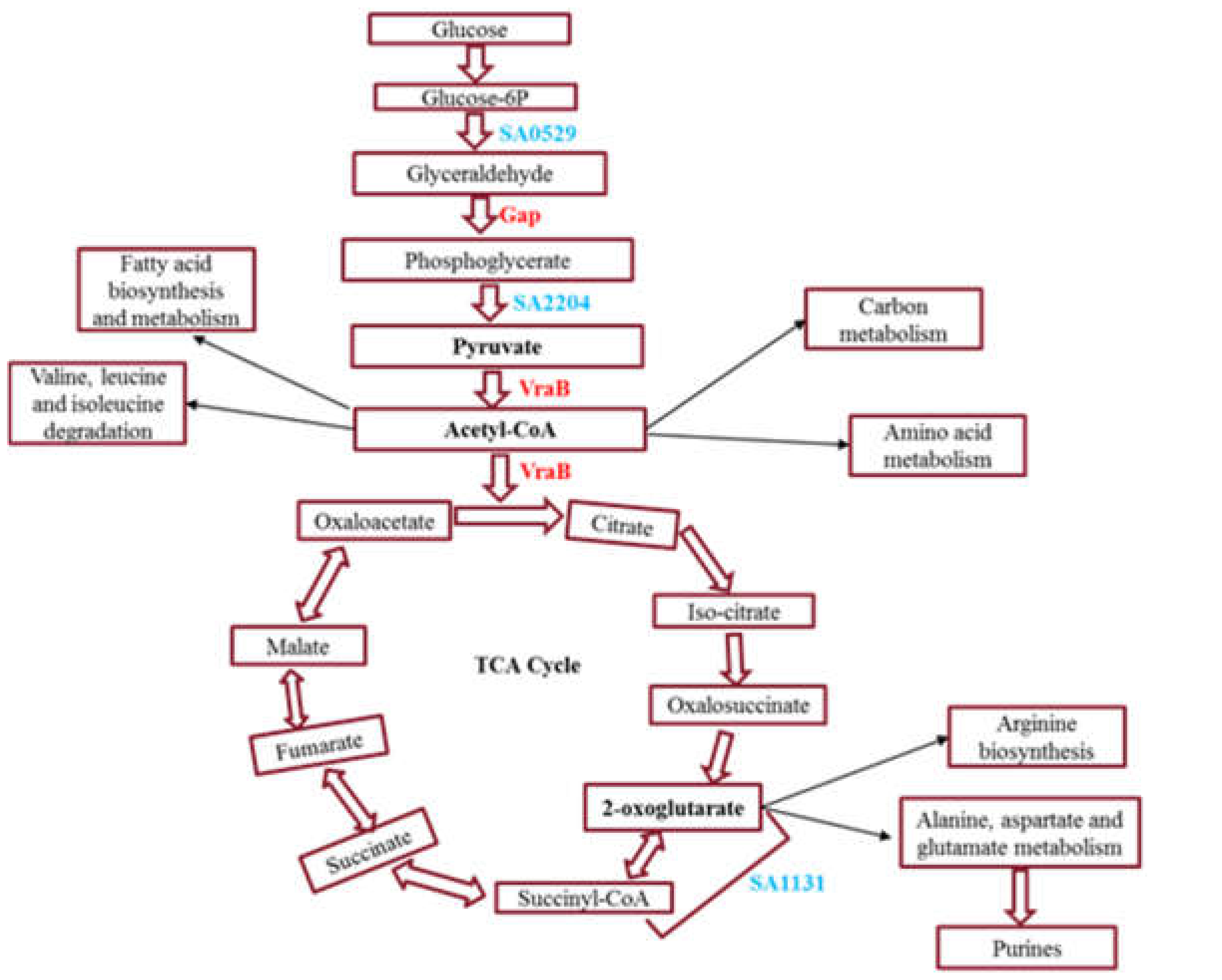 Ijms 23 06415 g004 Ijms 23 06415 g004