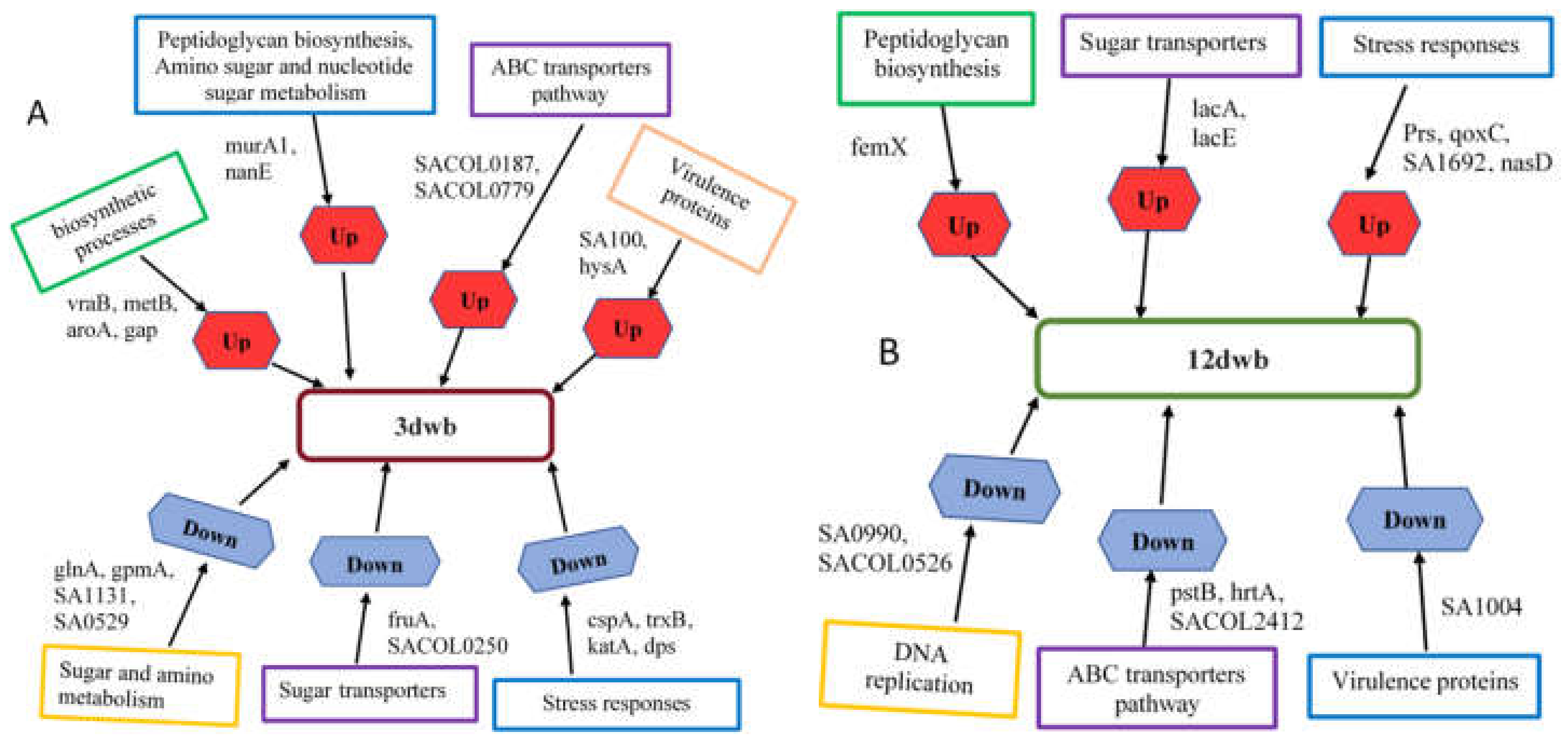 Ijms 23 06415 g005 Ijms 23 06415 g005