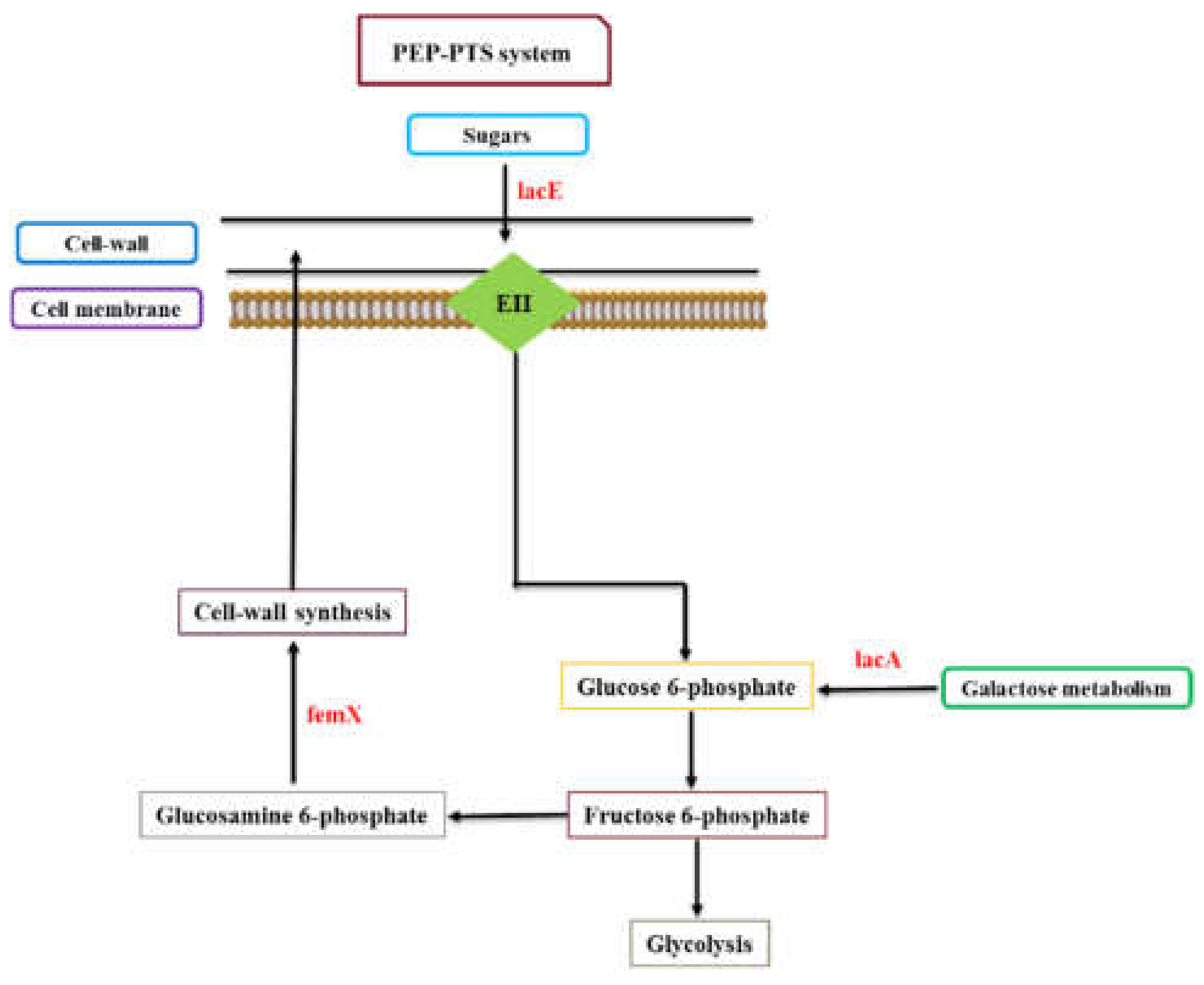 Ijms 23 06415 g006 Ijms 23 06415 g006