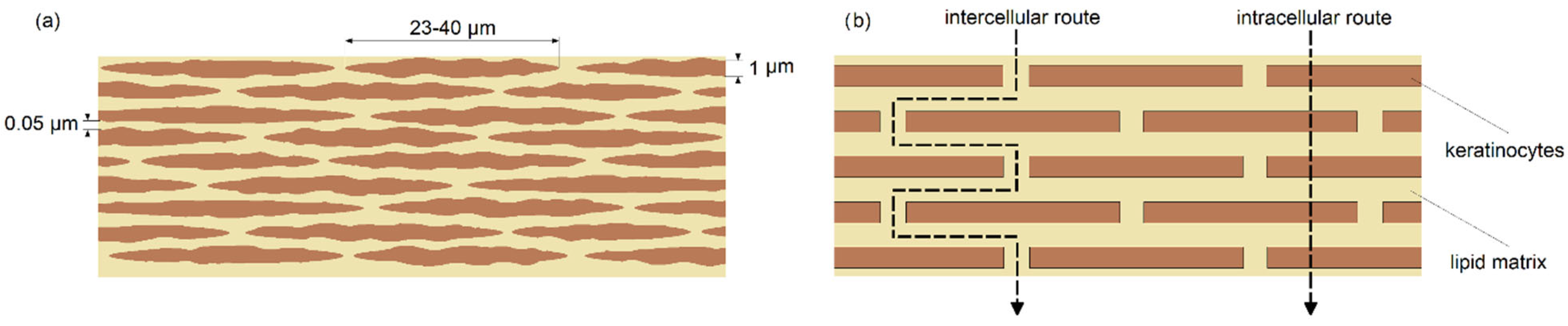 Ijms 23 06419 g001 550