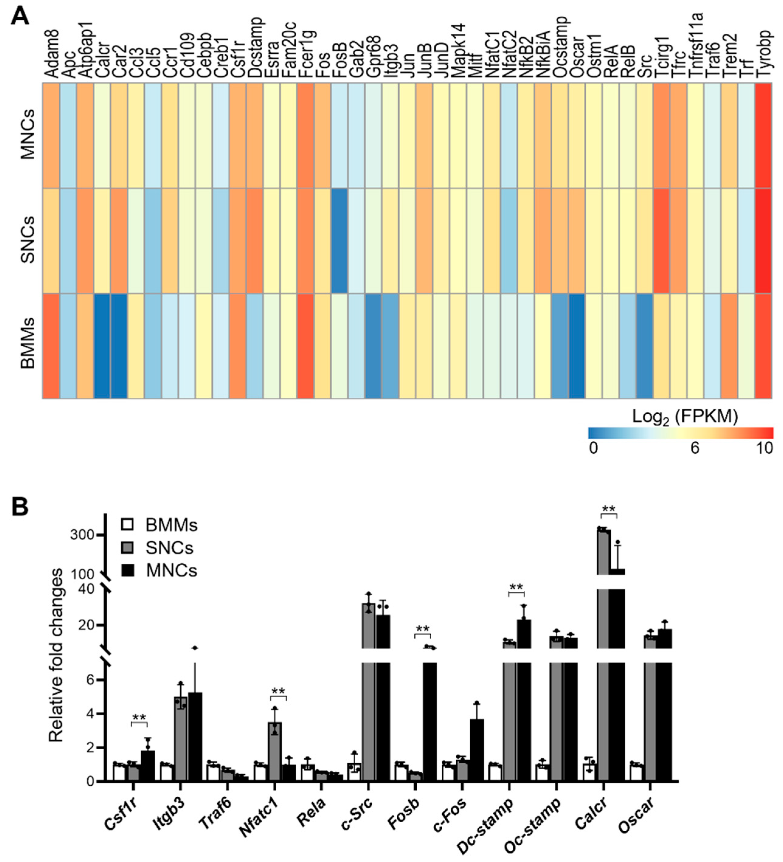 Ijms 23 06421 g003 Ijms 23 06421 g003