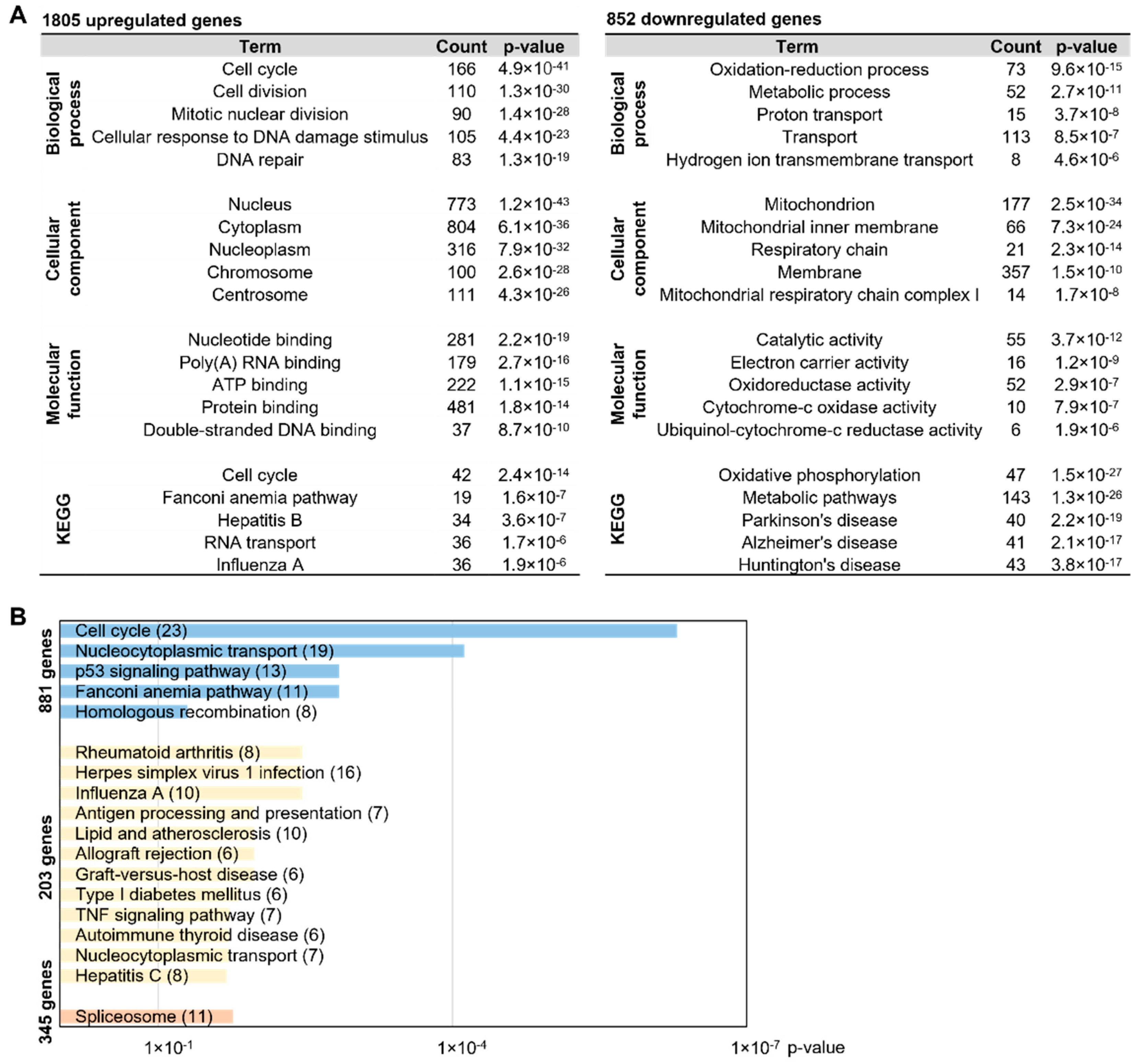 Ijms 23 06421 g005 Ijms 23 06421 g005