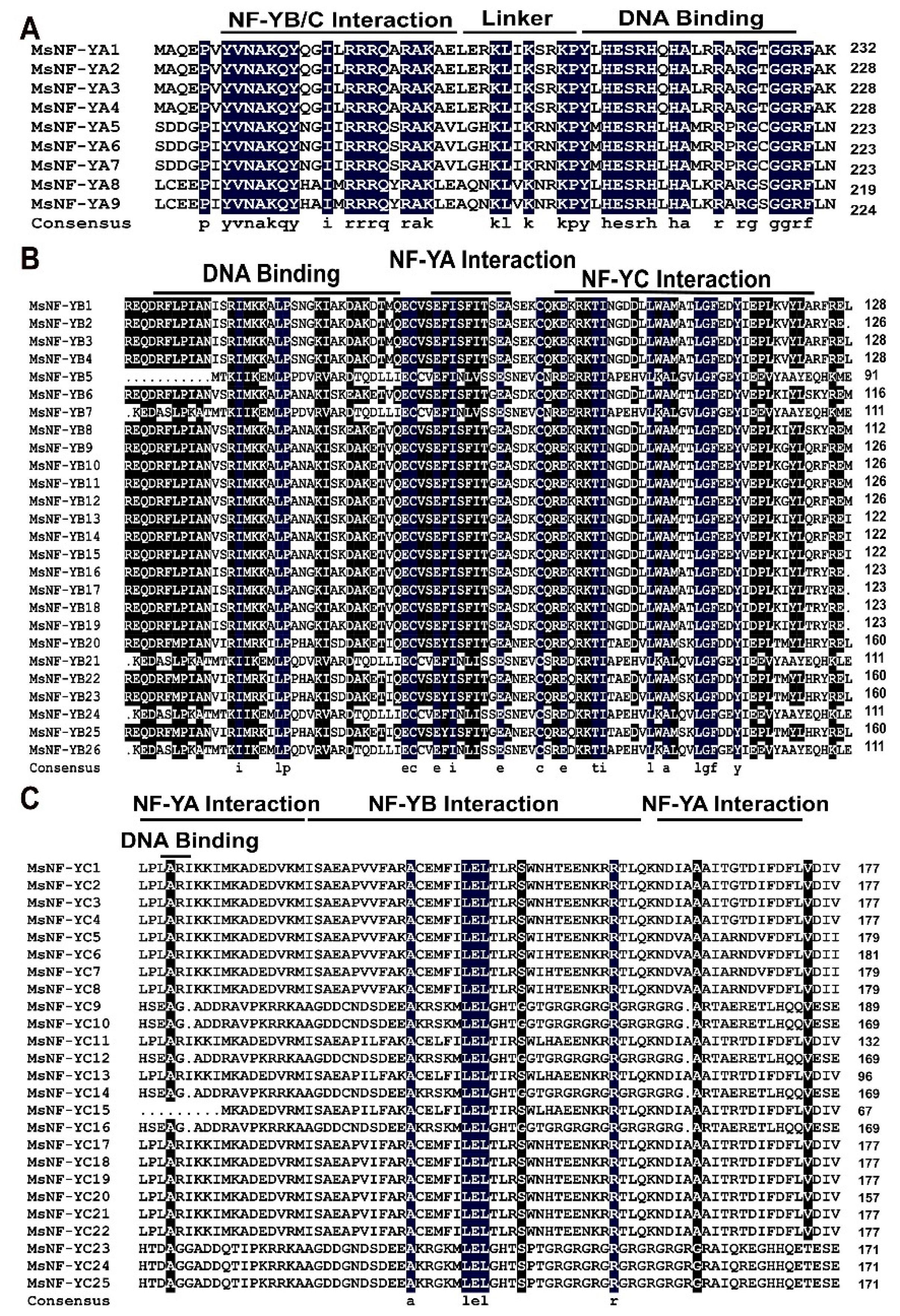 Ijms 23 06426 g002 550