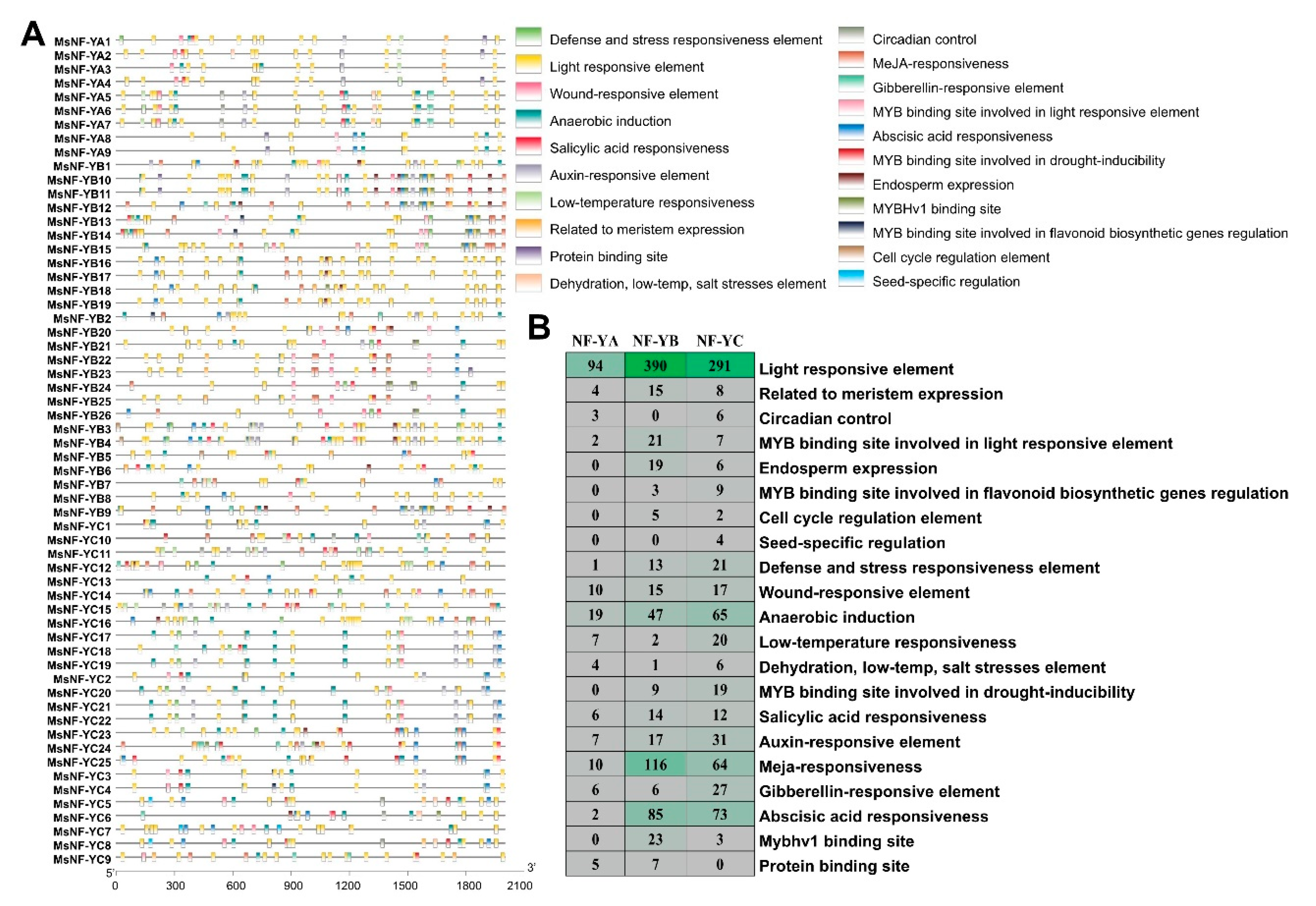 Ijms 23 06426 g005 550