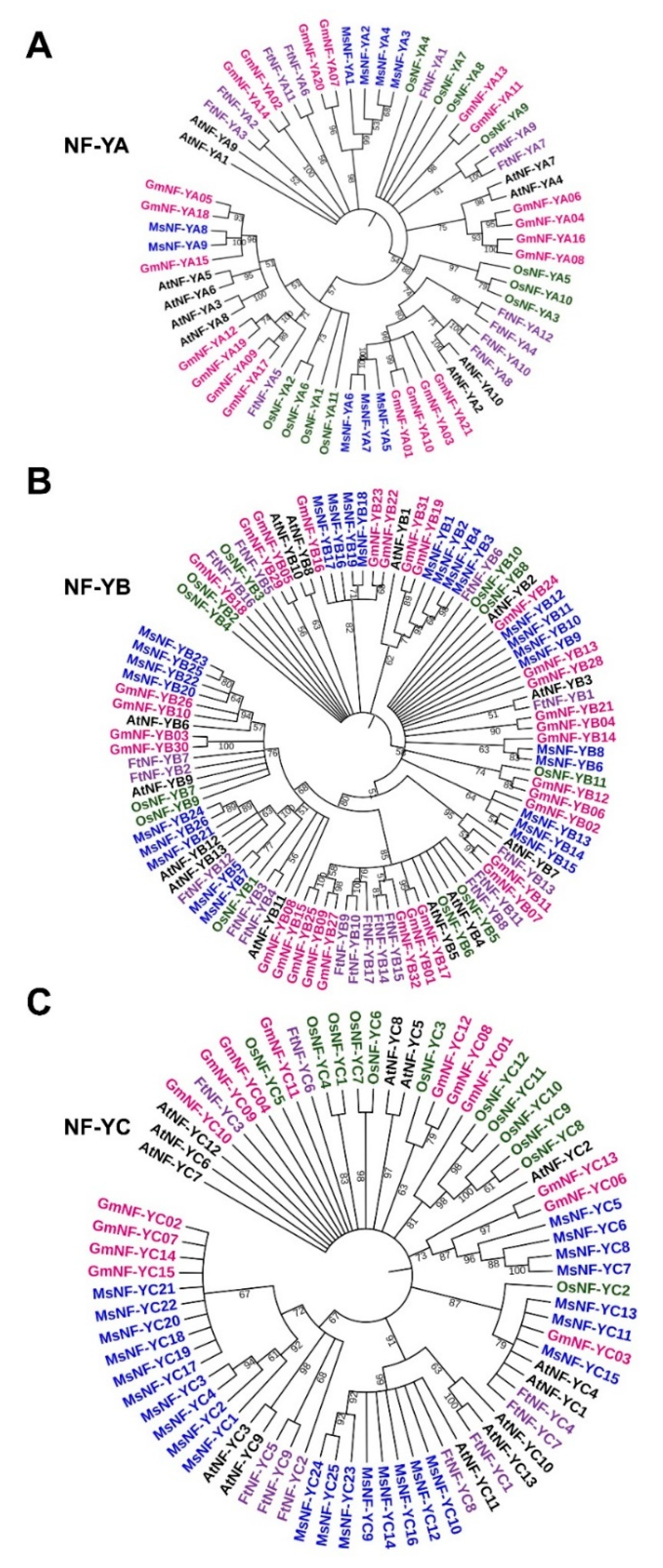 Ijms 23 06426 g006 550