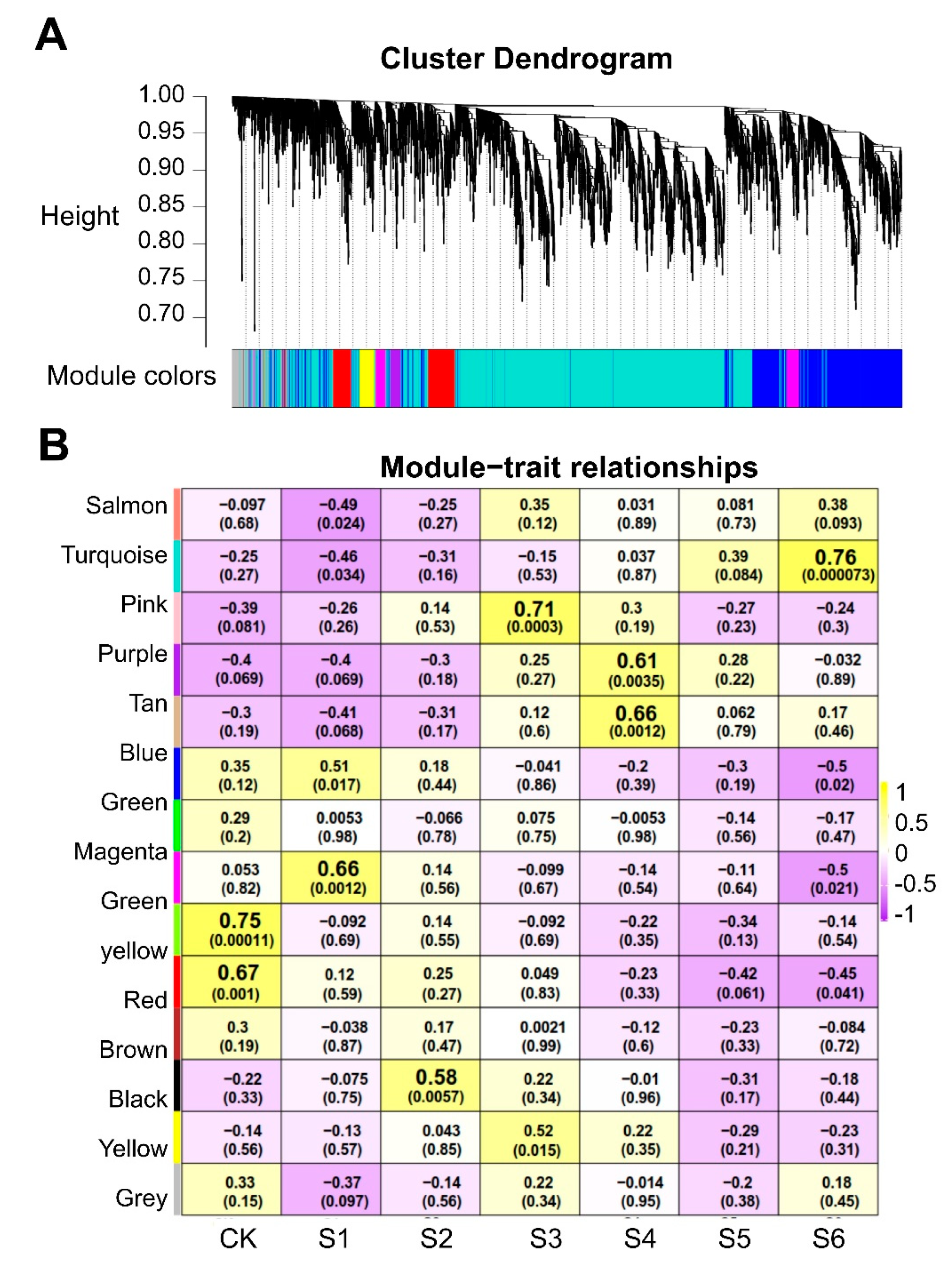 Ijms 23 06426 g009 550