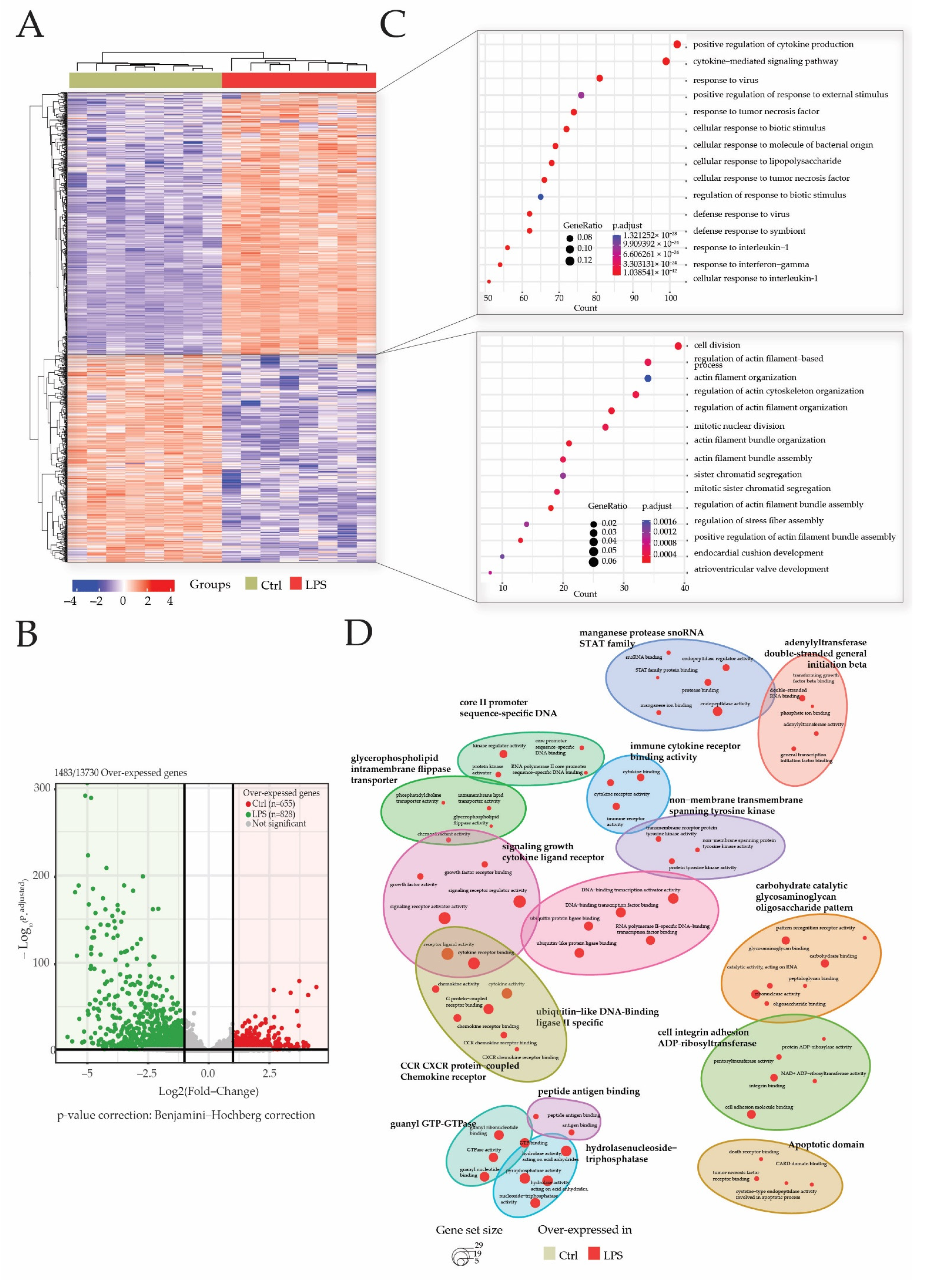 Ijms 23 06430 g003 550