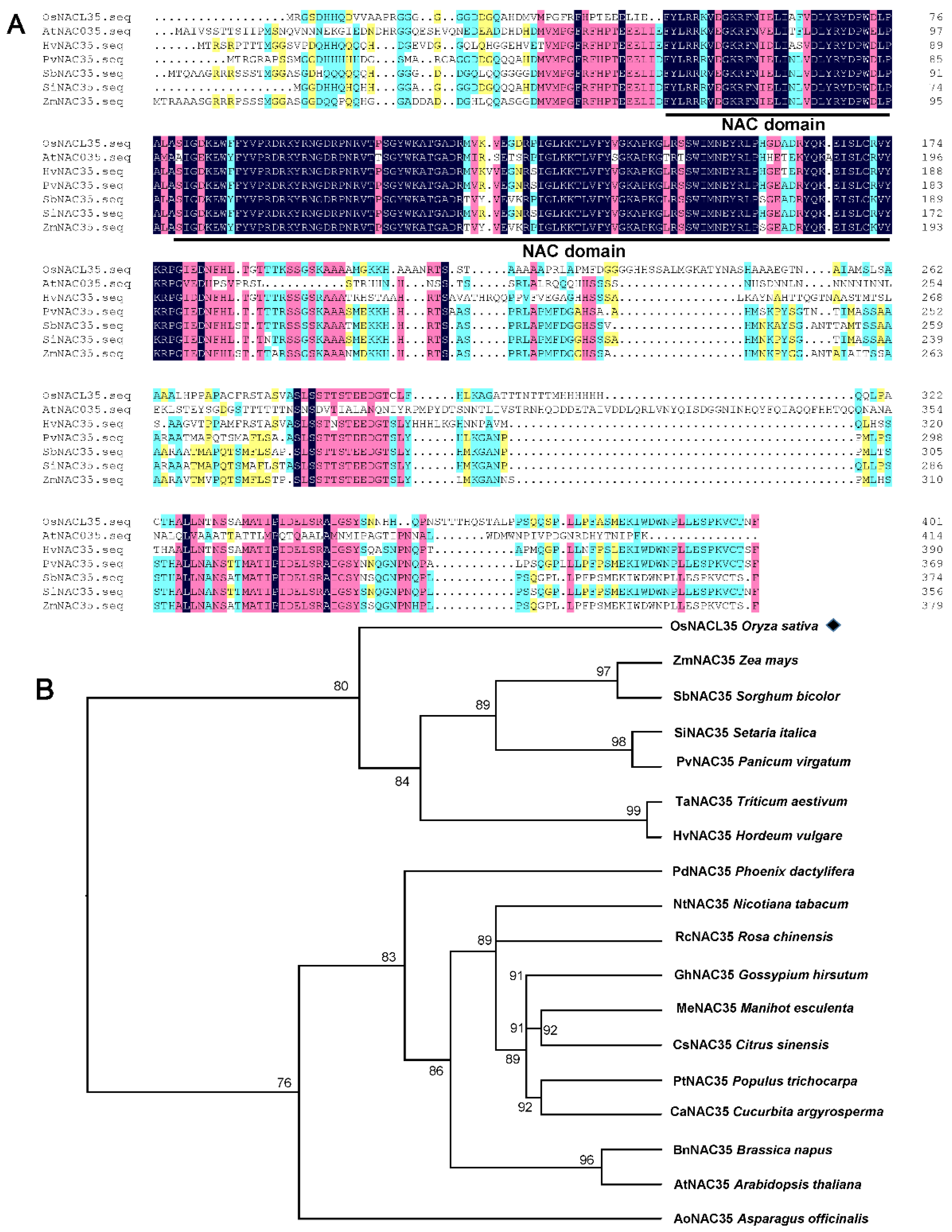 Ijms 23 06435 g001 550