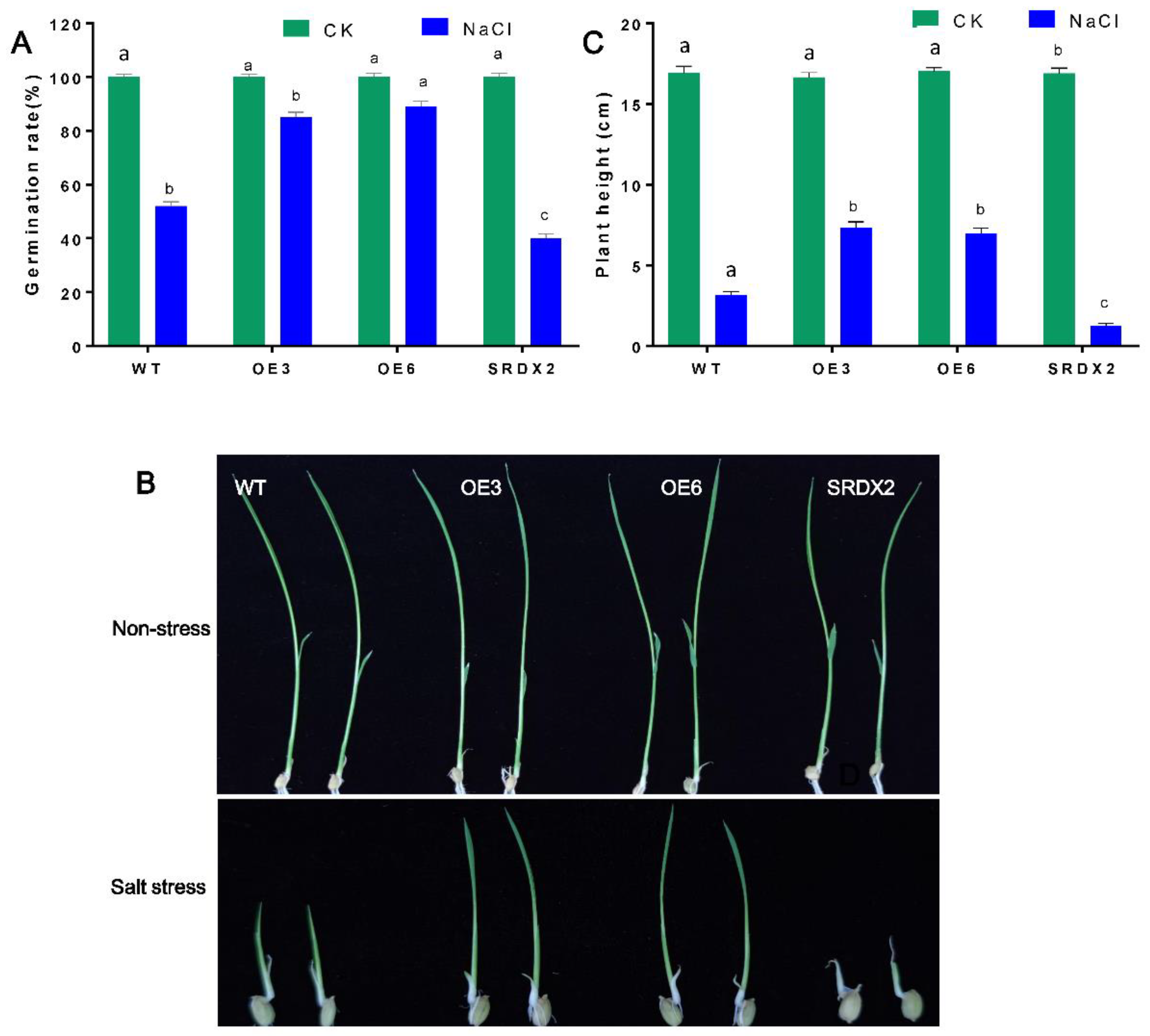 Ijms 23 06435 g004 550