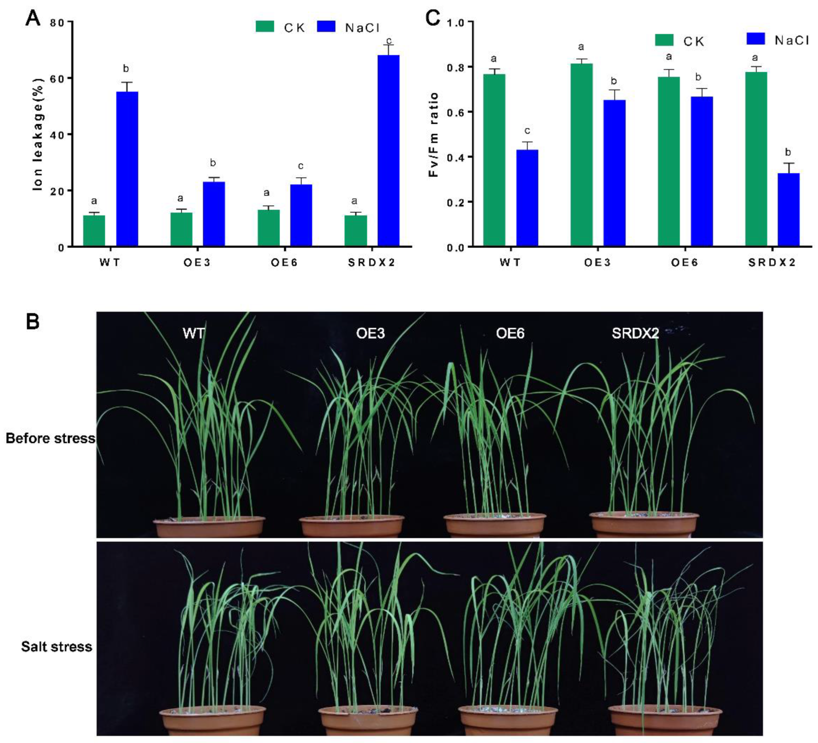 Ijms 23 06435 g005 550