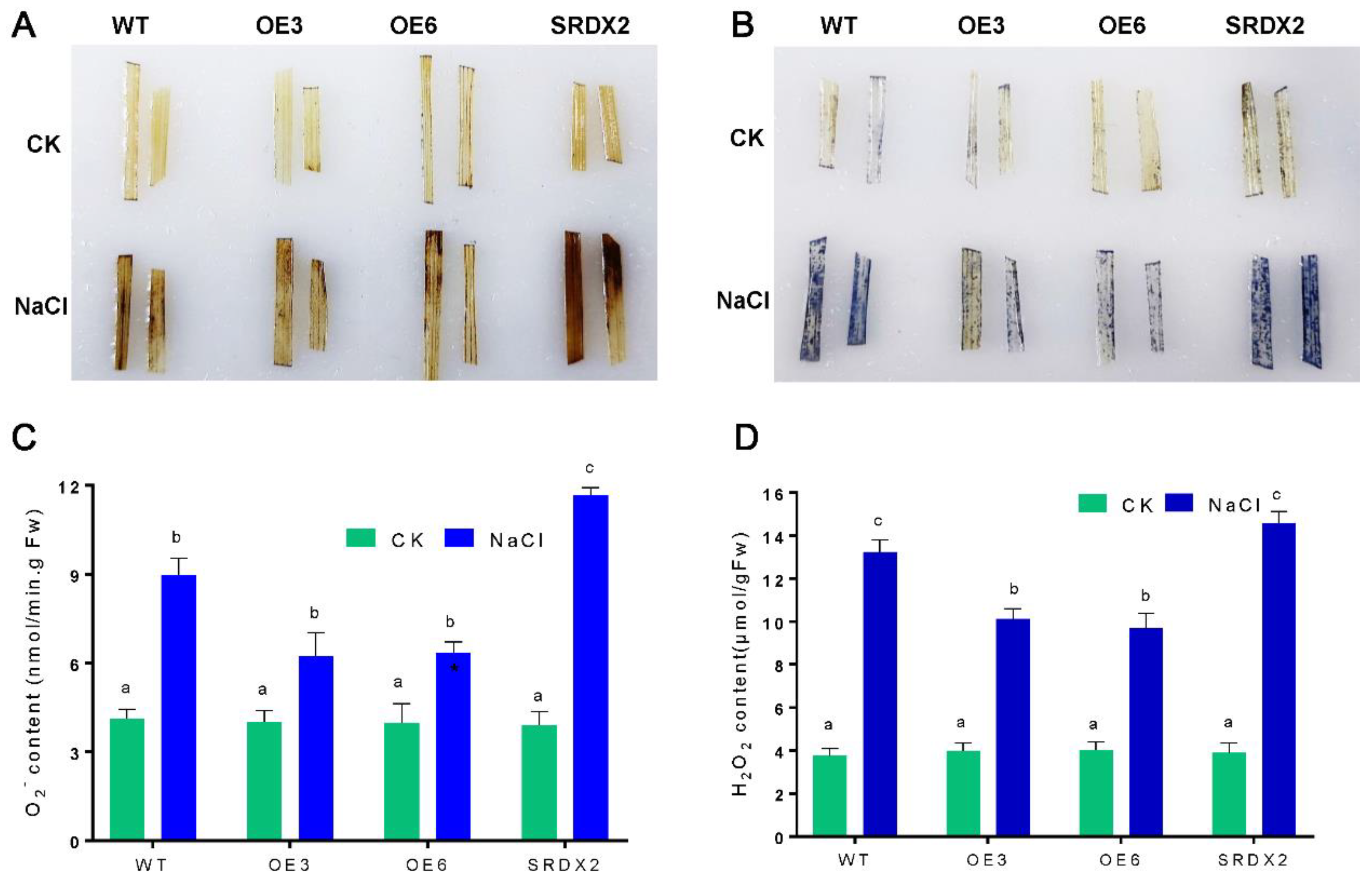 Ijms 23 06435 g006 550
