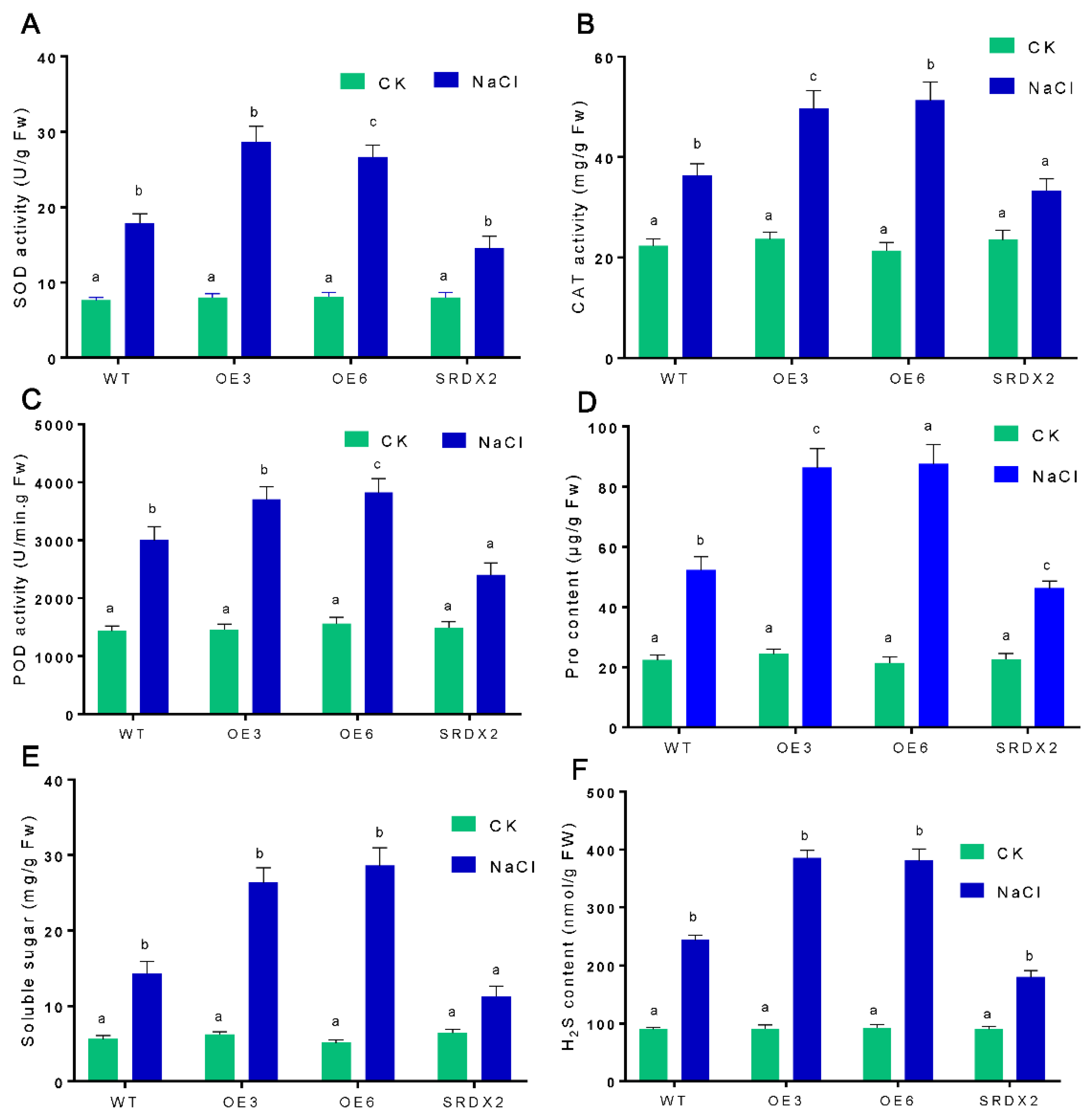 Ijms 23 06435 g007 550