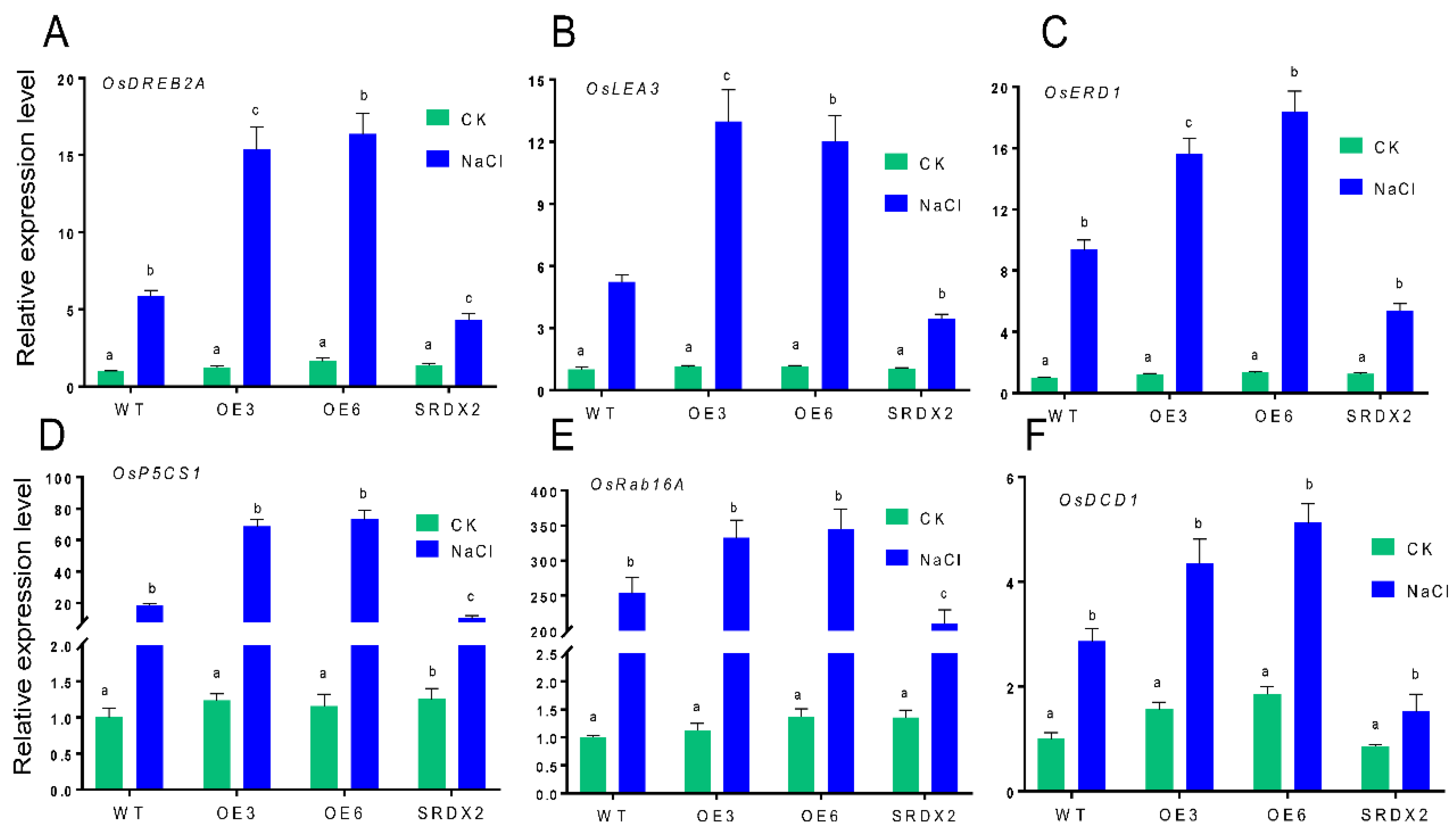 Ijms 23 06435 g008 550