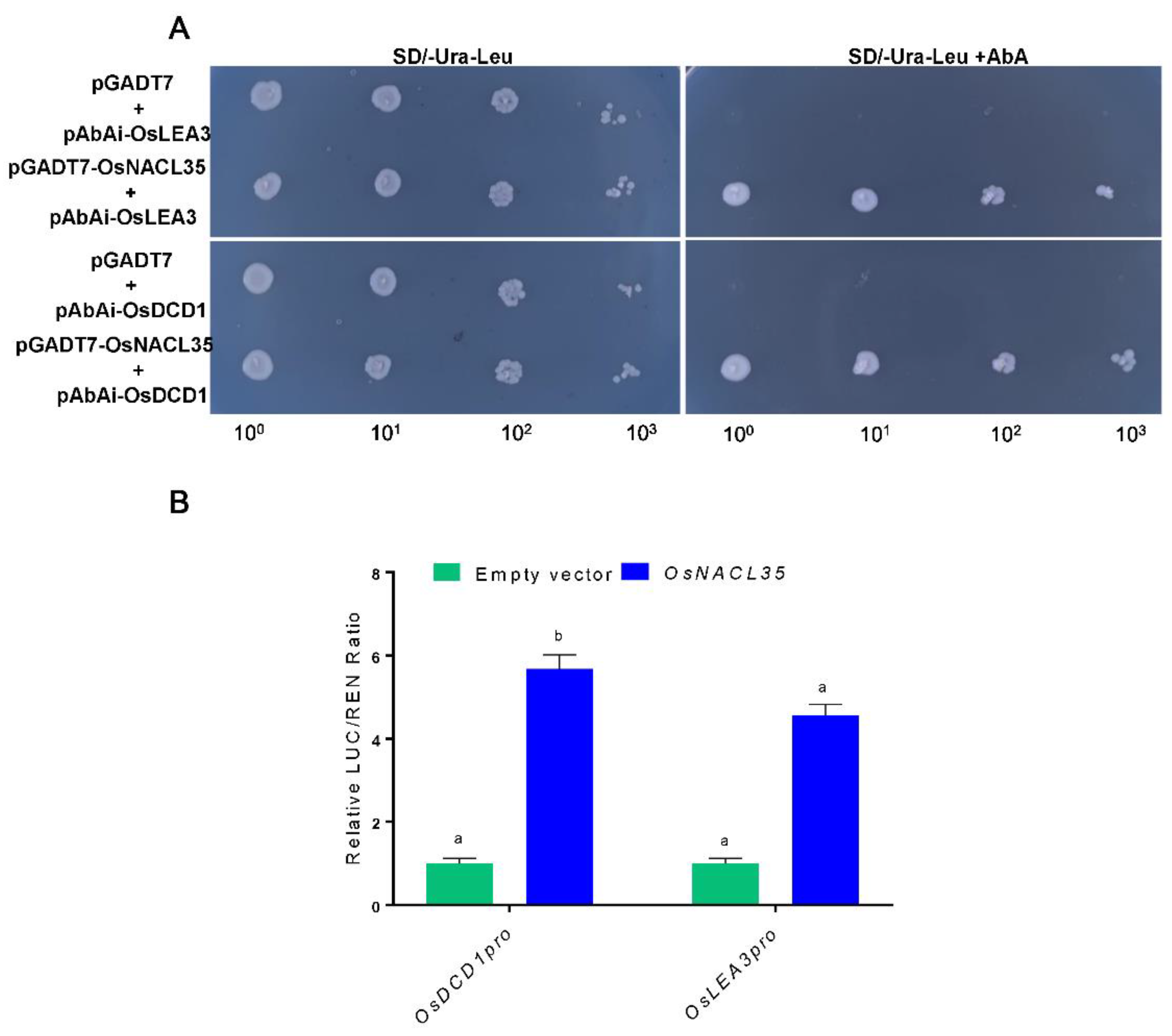 Ijms 23 06435 g009 550