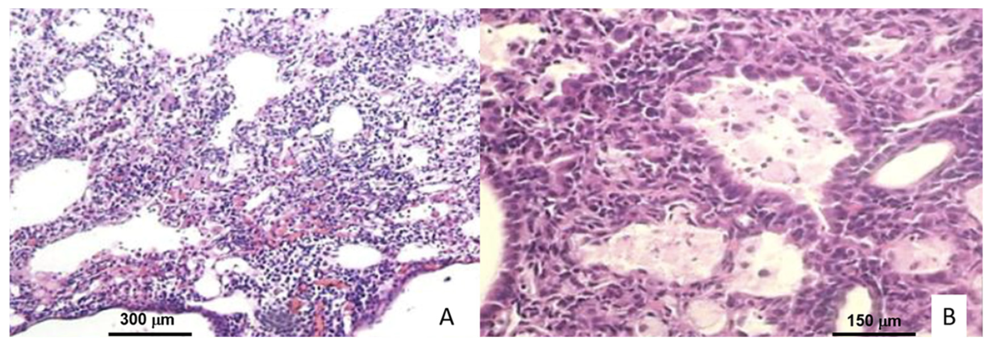 Ijms 23 06436 g001 550