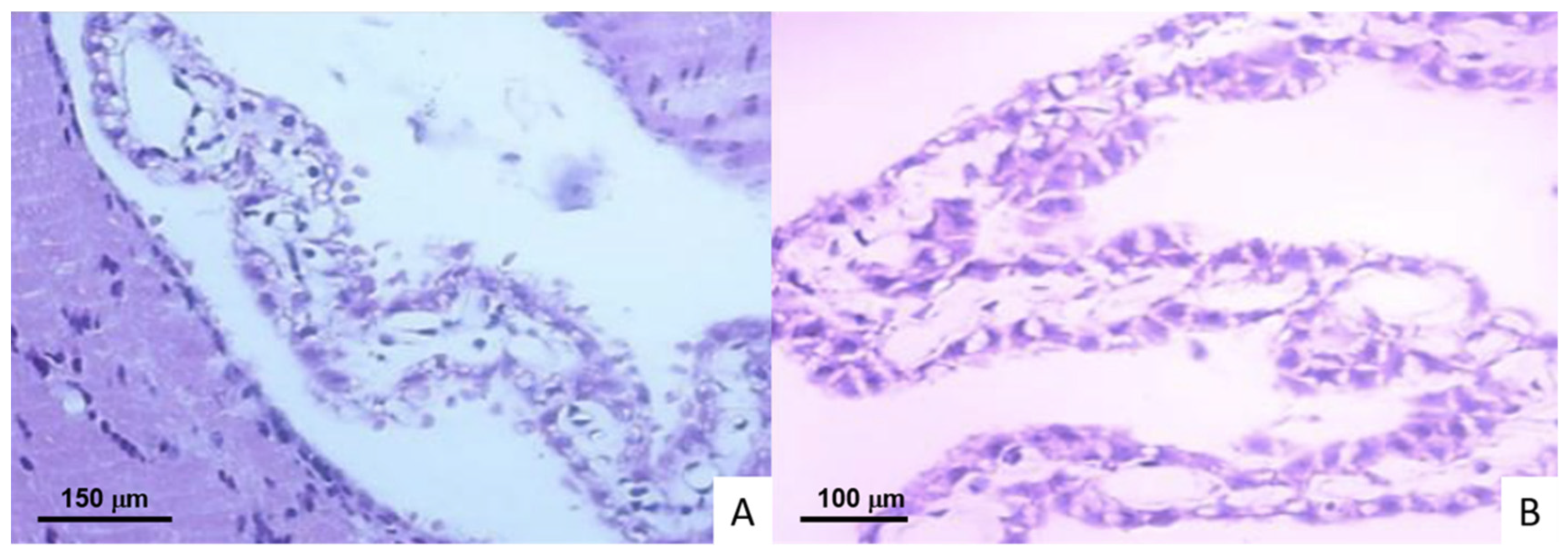 Ijms 23 06436 g002 550