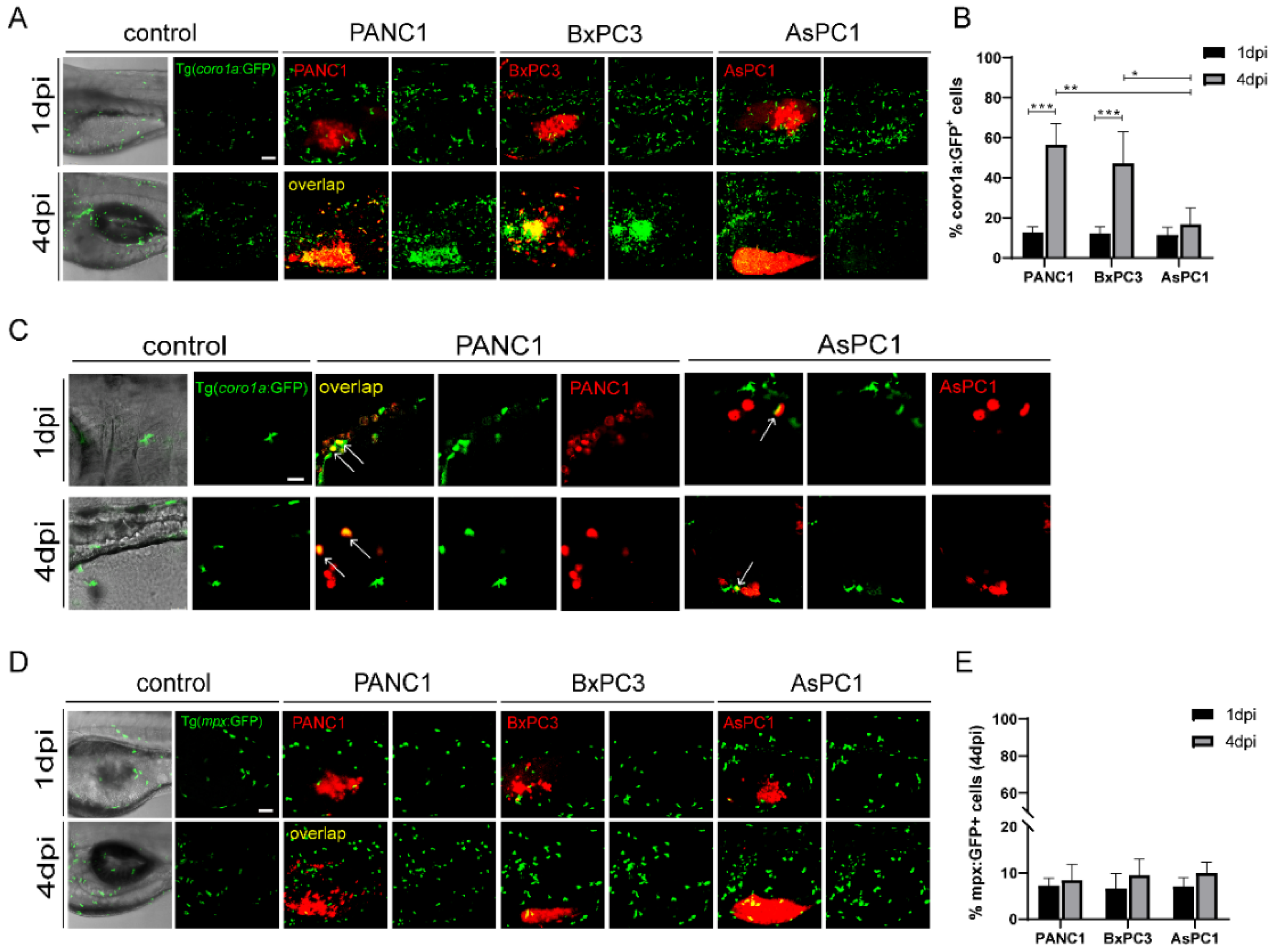Ijms 23 06442 g002 550