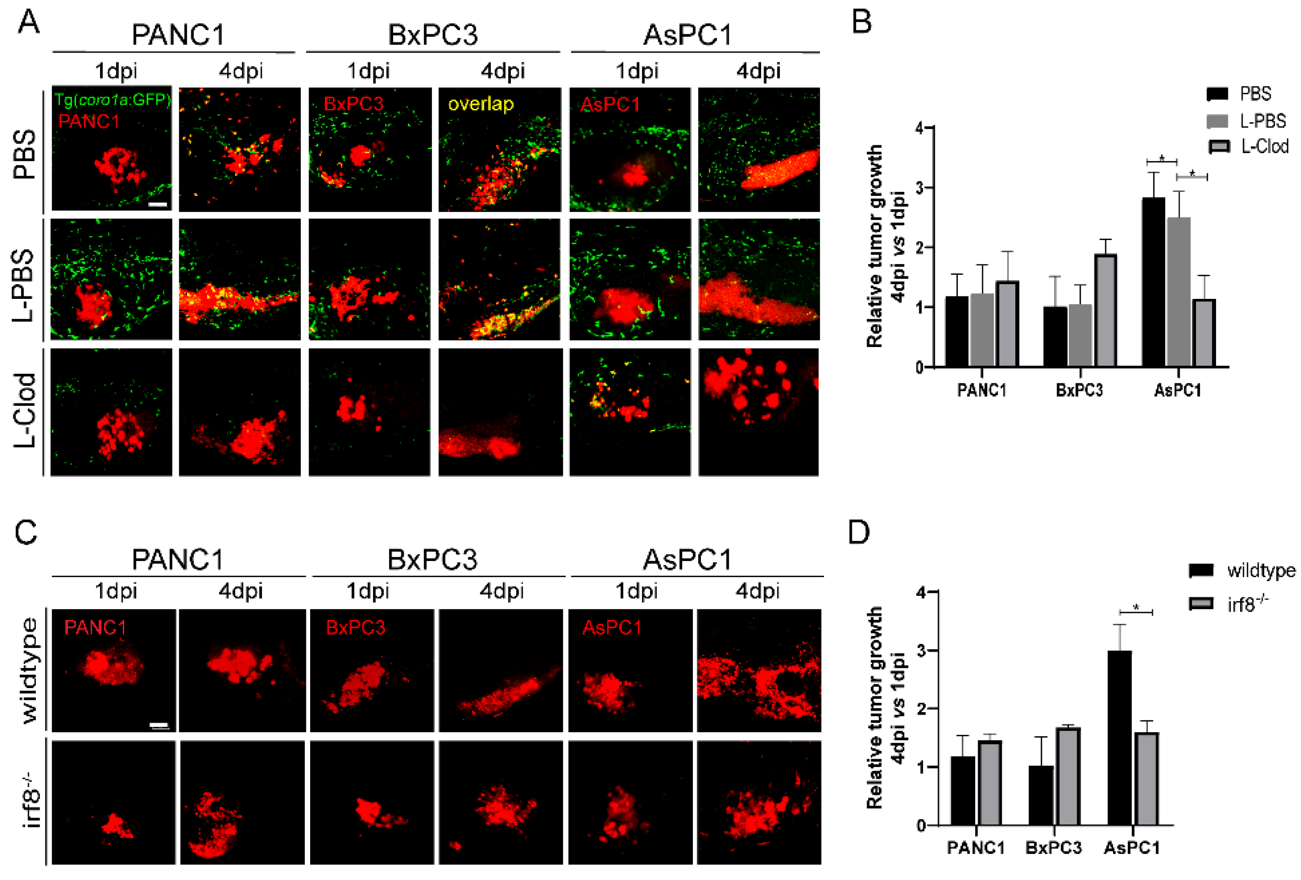 Ijms 23 06442 g004 550