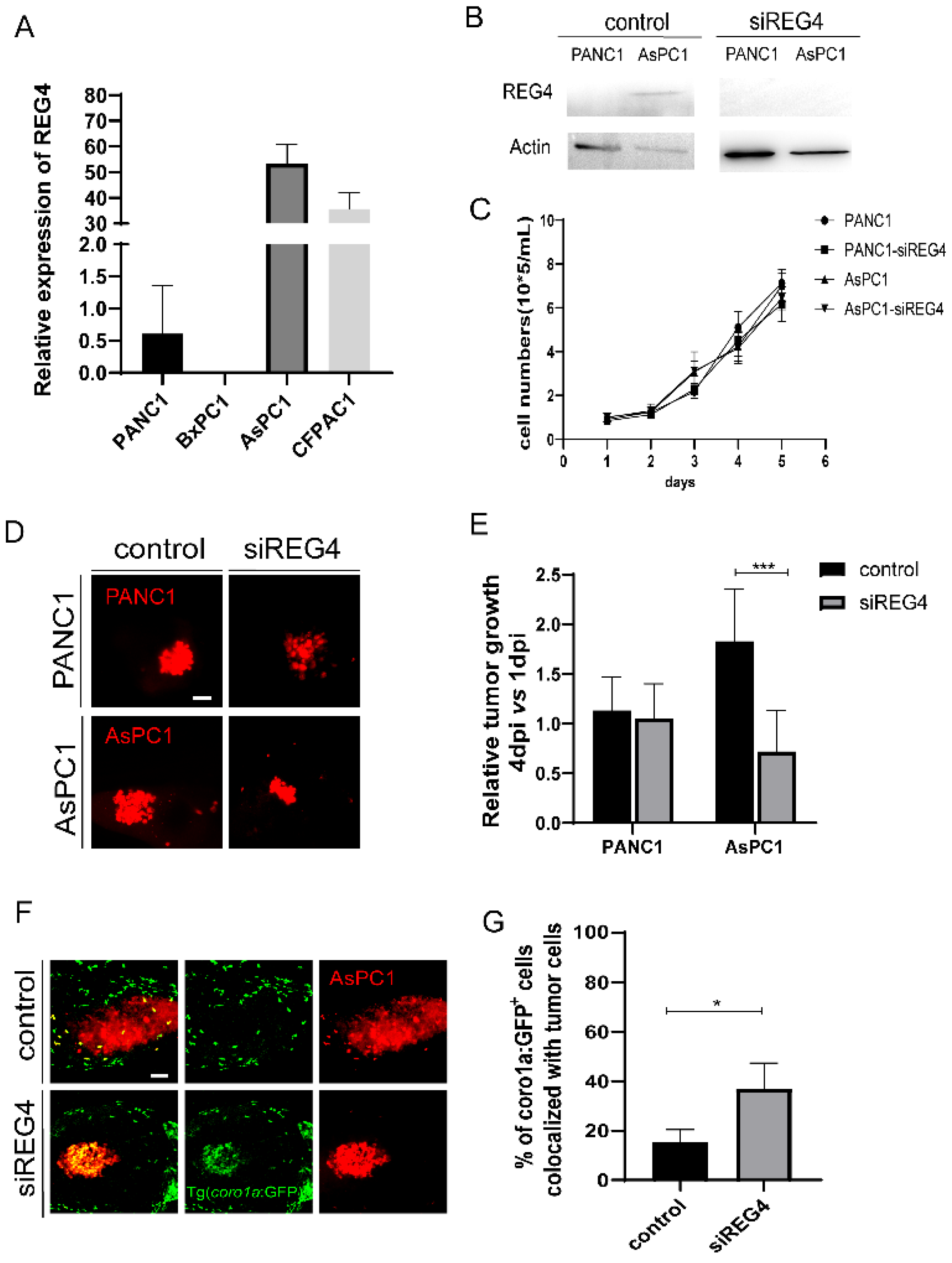 Ijms 23 06442 g006 550