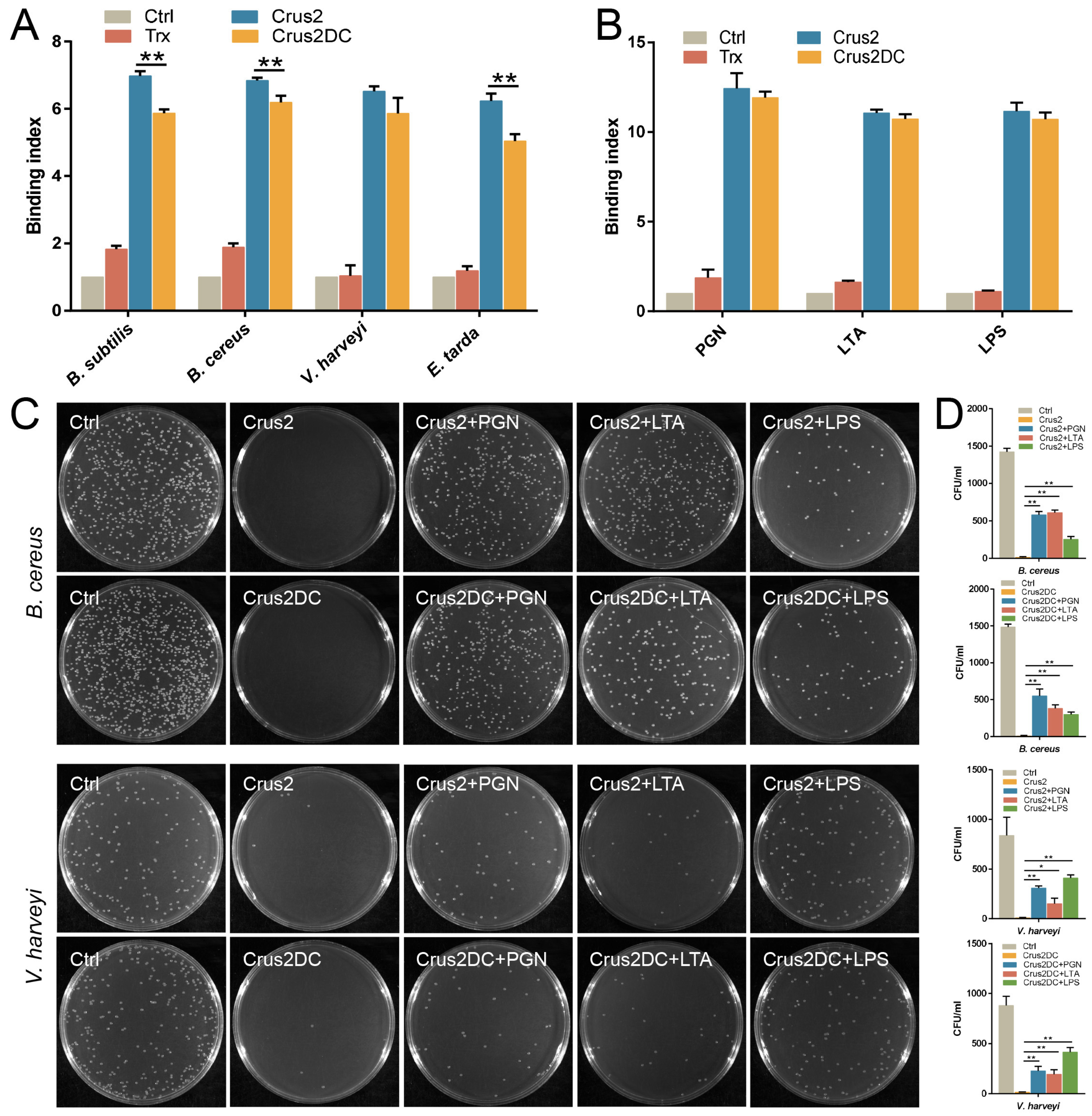 Ijms 23 06444 g002 550