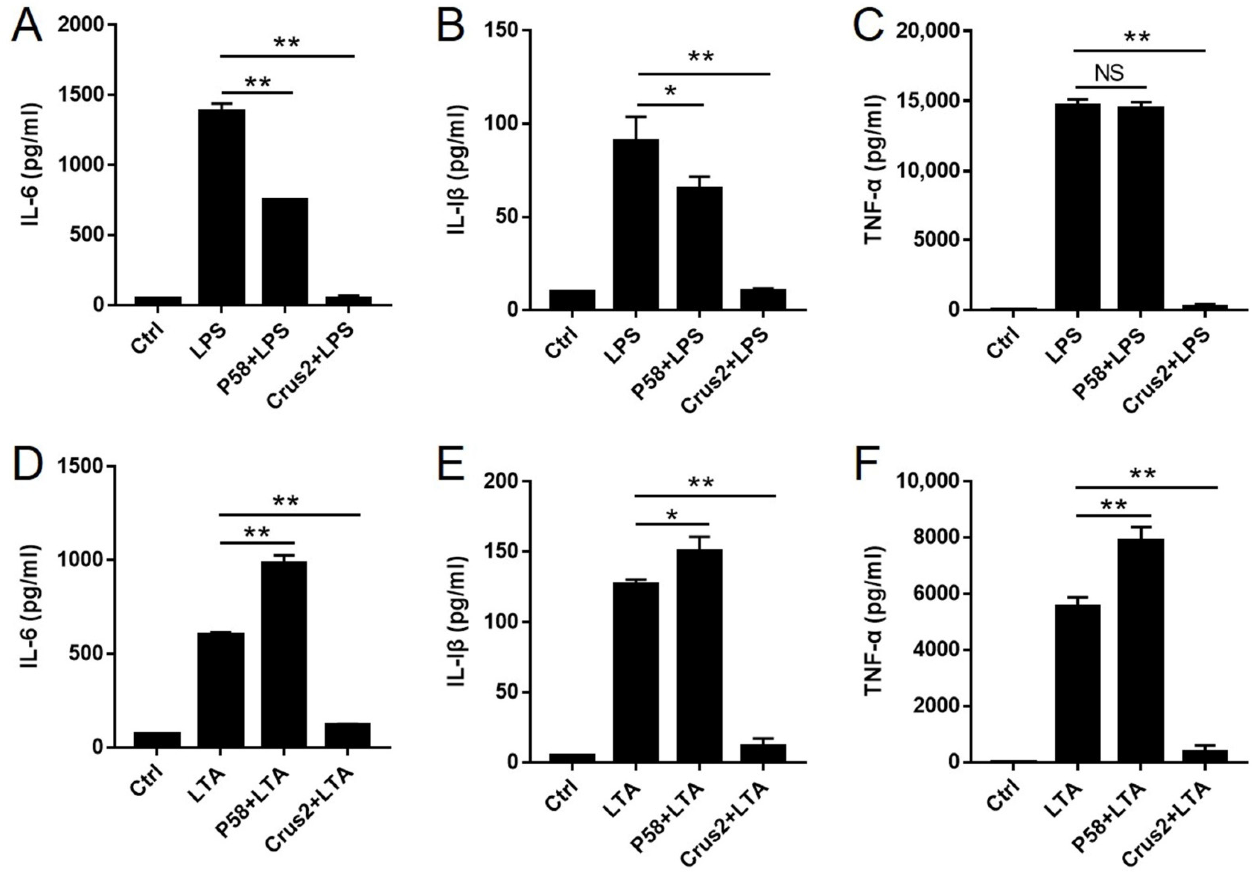 Ijms 23 06444 g006 550