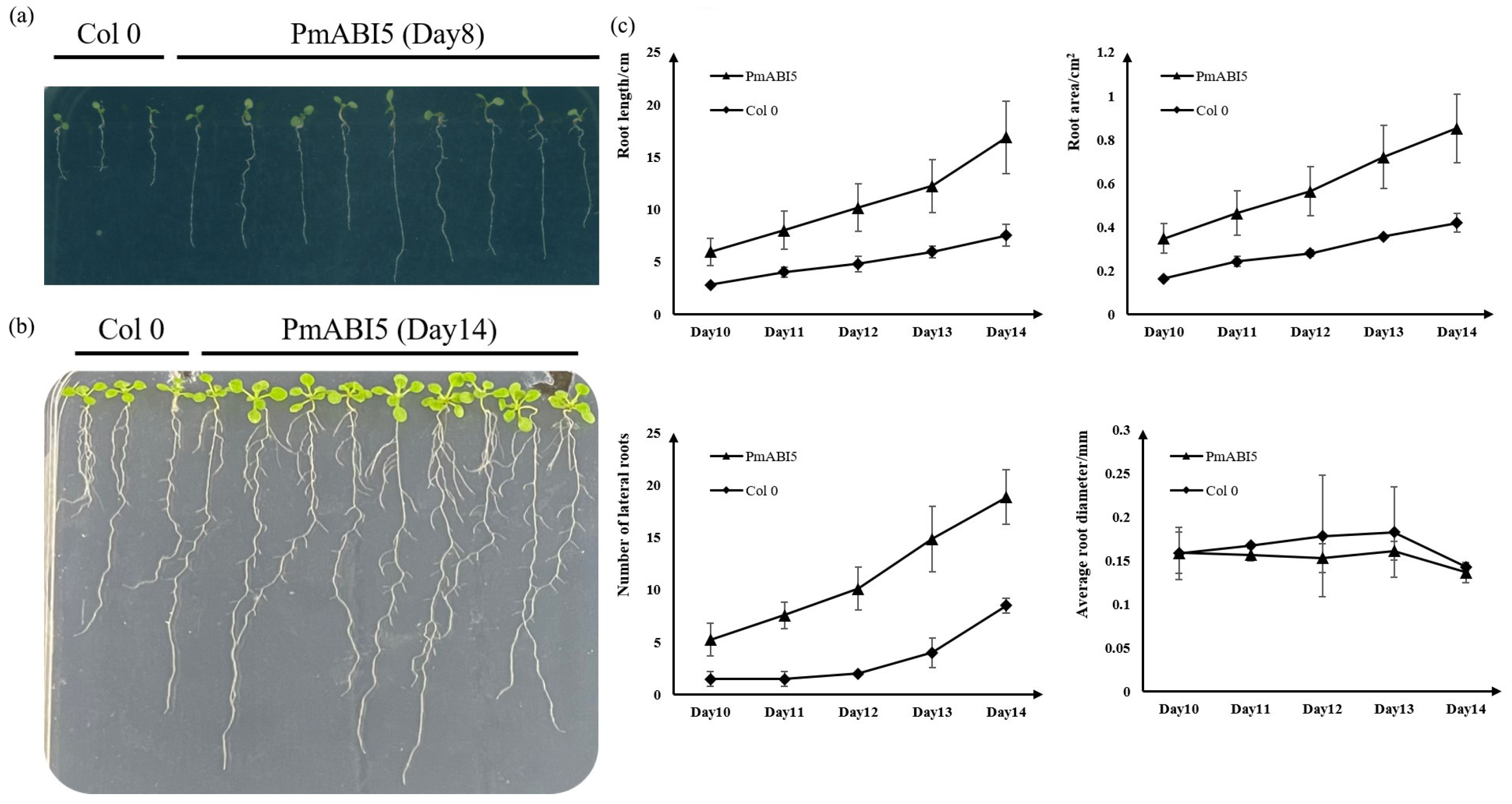 Ijms 23 06448 g008 550
