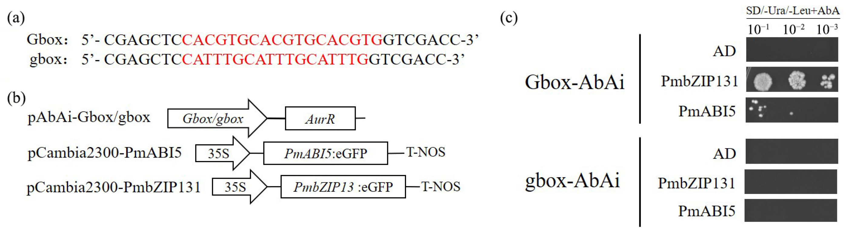 Ijms 23 06448 g010 550