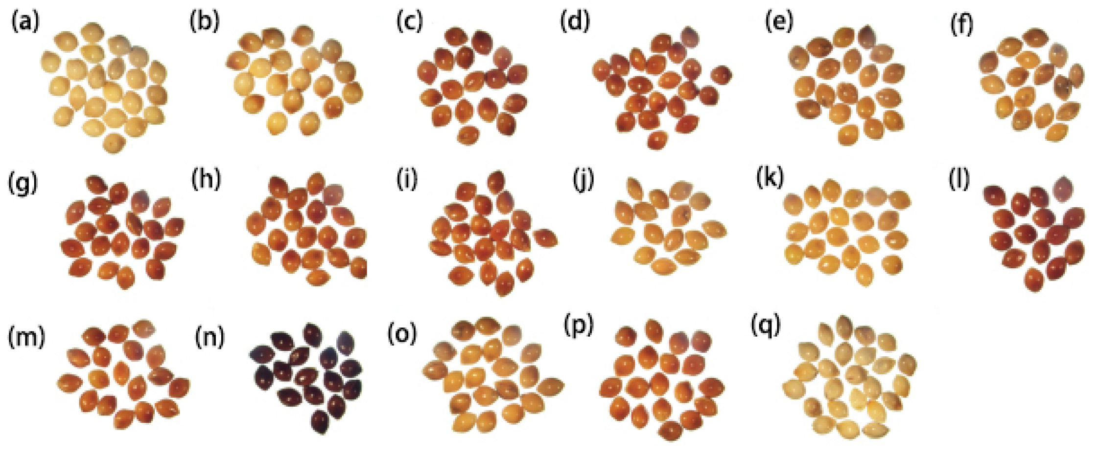 Ijms 23 06448 g011 550