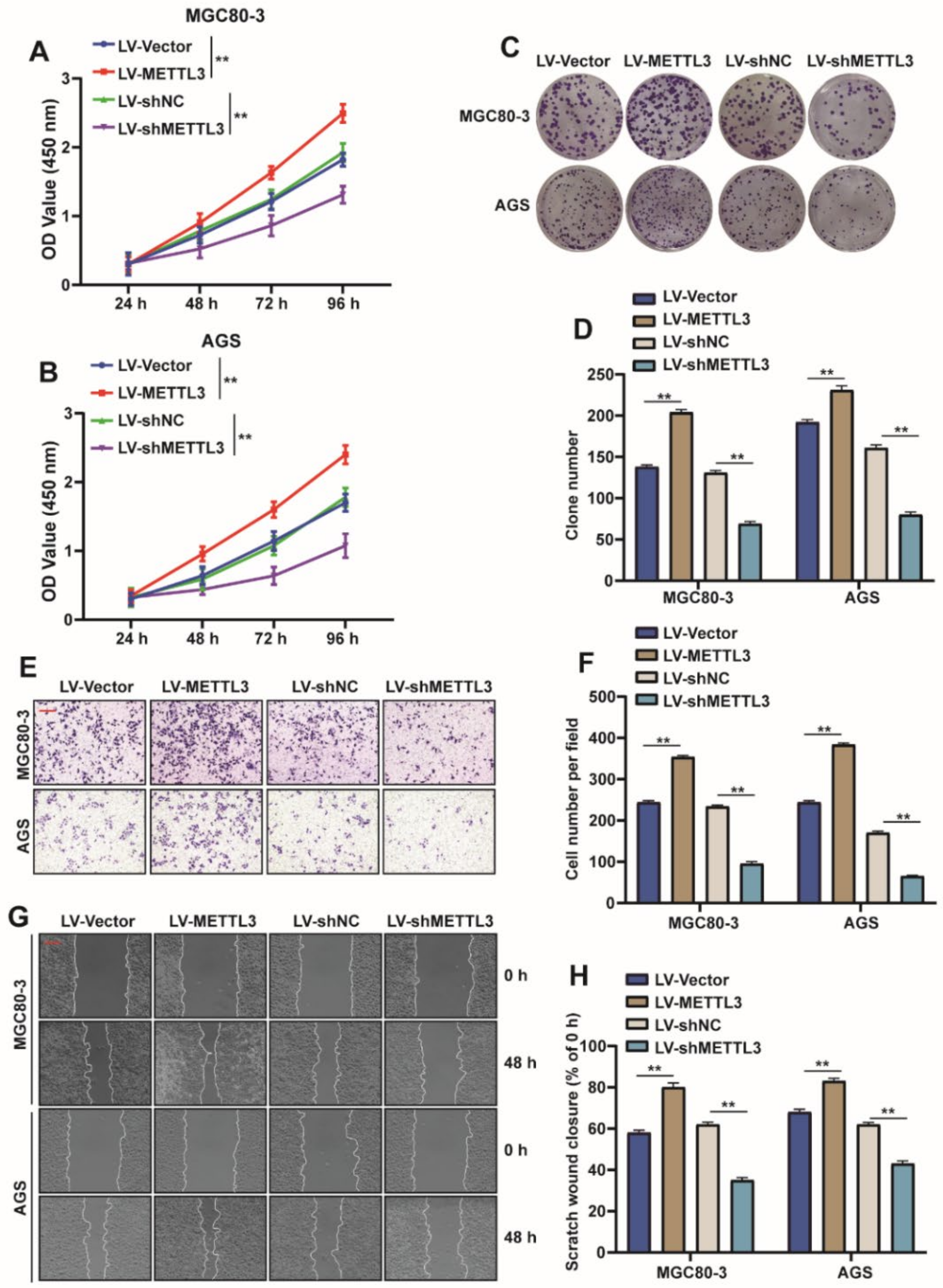 Ijms 23 06451 g002 550