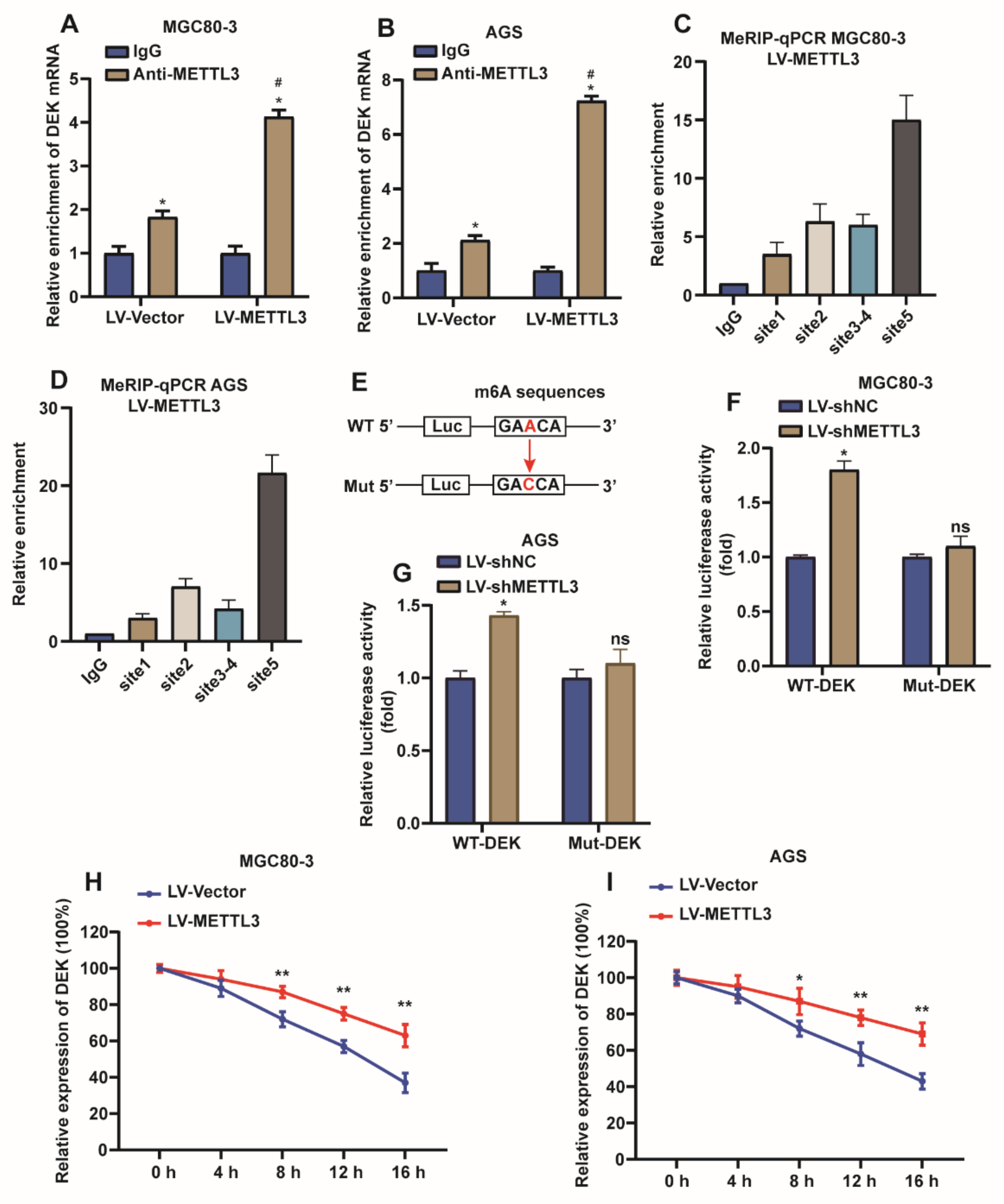 Ijms 23 06451 g004 550