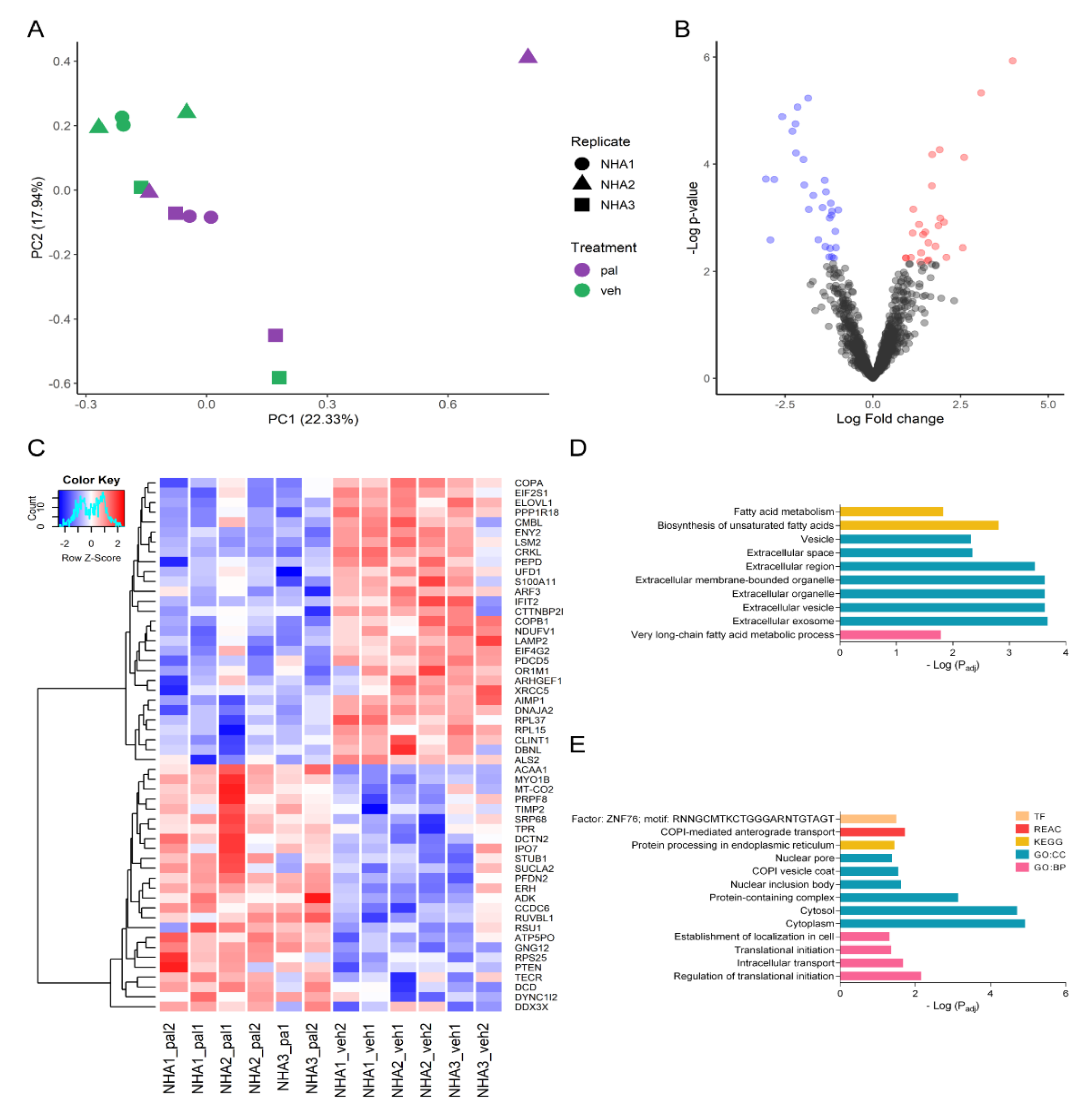 Ijms 23 06454 g002 Ijms 23 06454 g002