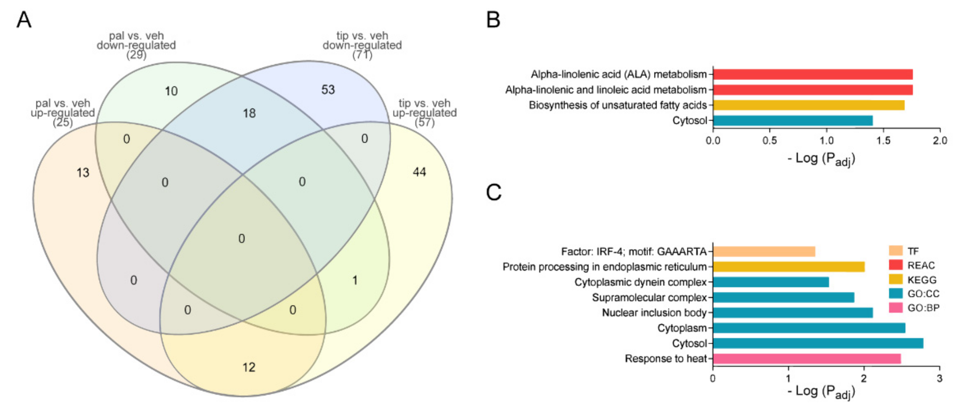 Ijms 23 06454 g005 Ijms 23 06454 g005