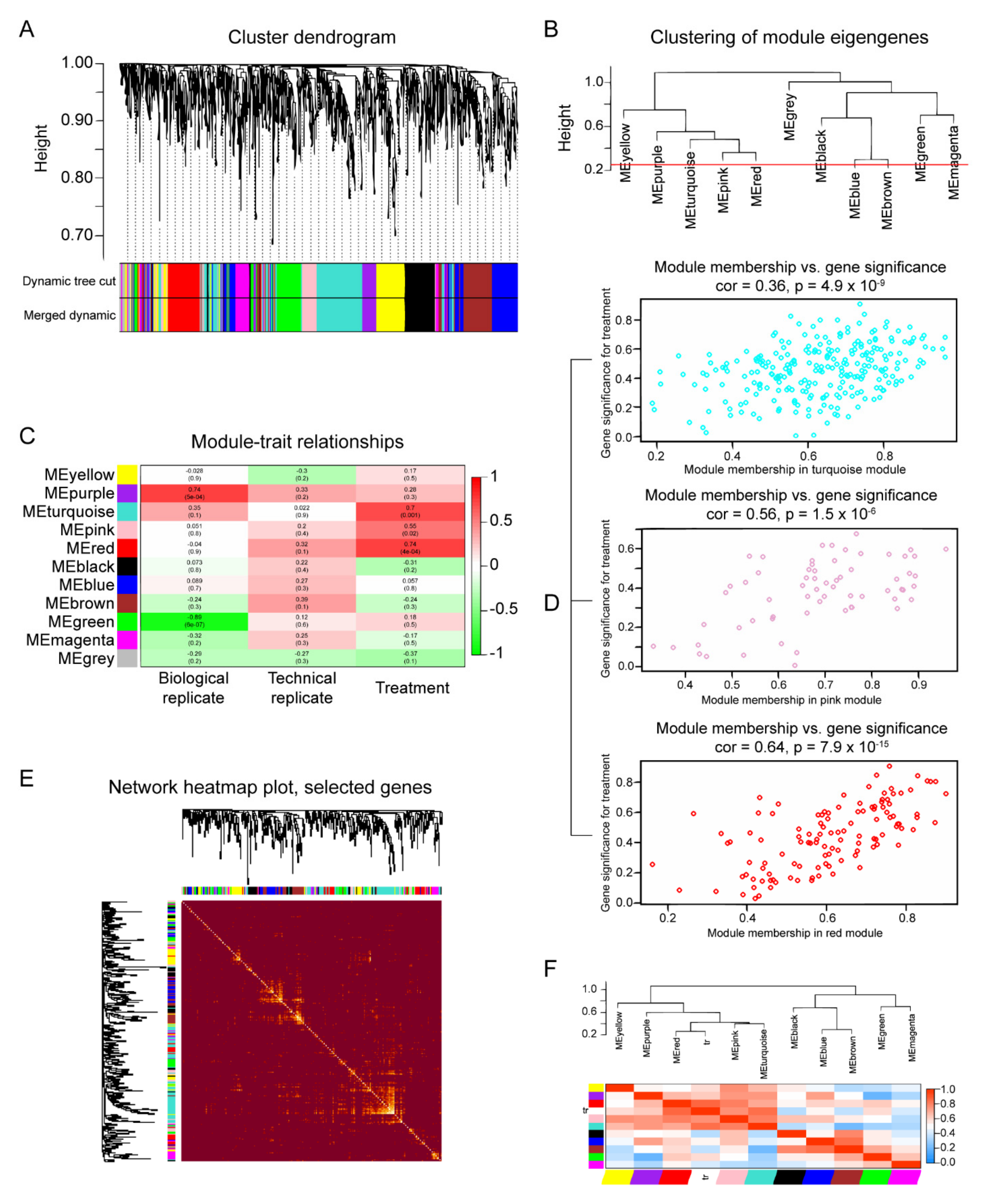 Ijms 23 06454 g006 Ijms 23 06454 g006