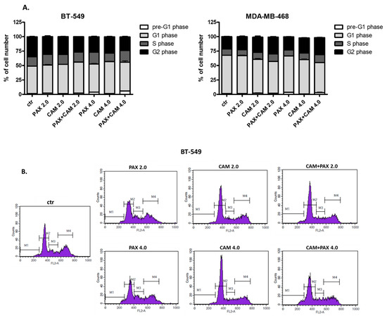 Antagonistic Pharmacological Interaction between Sirtuin Inhibitor